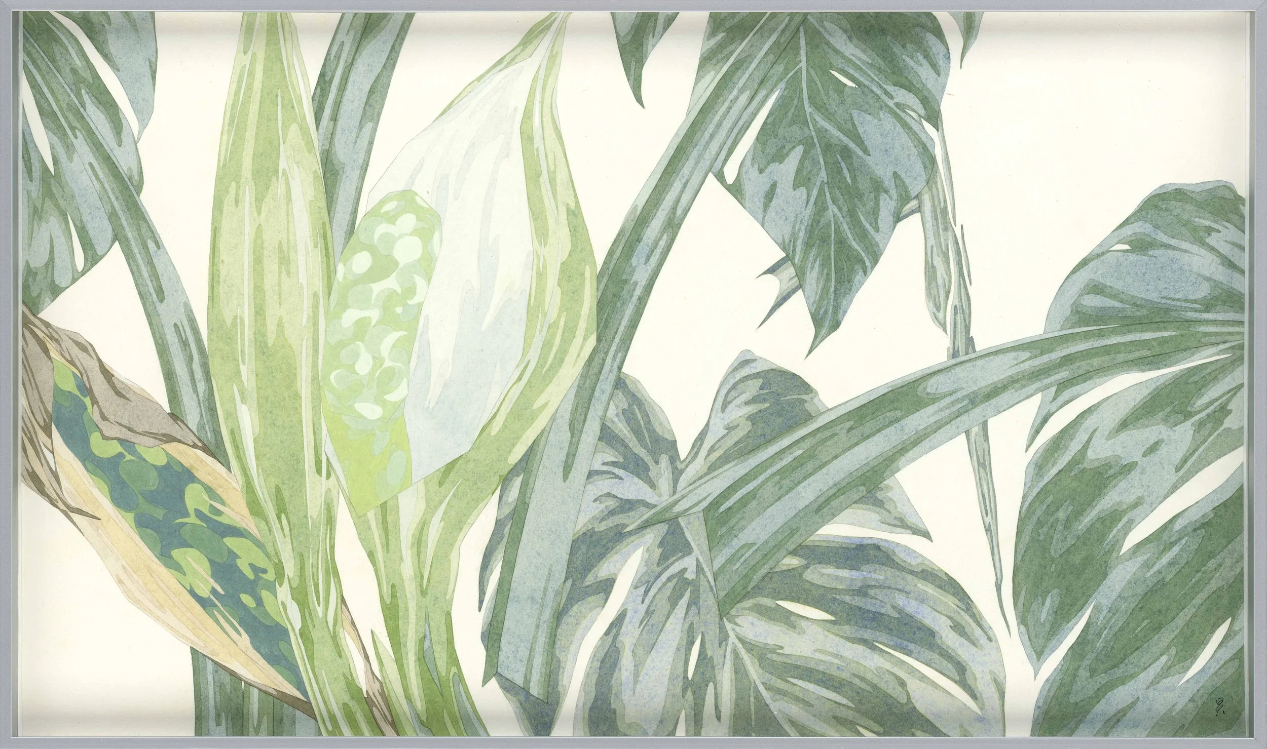 有植栽的室內-龜背芋