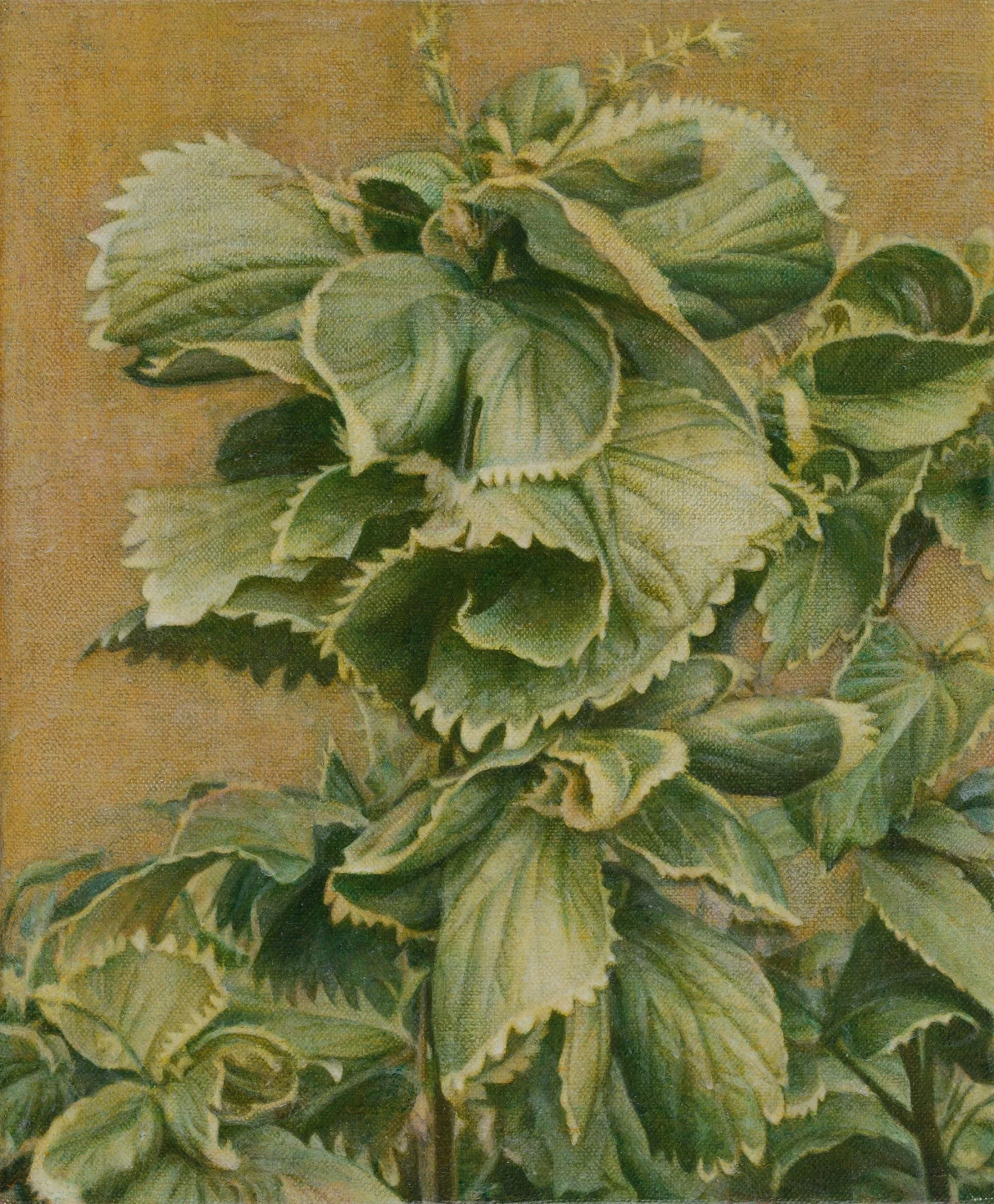 29.葉的呢喃 _2019_22x27_蛋彩畫布.jpg