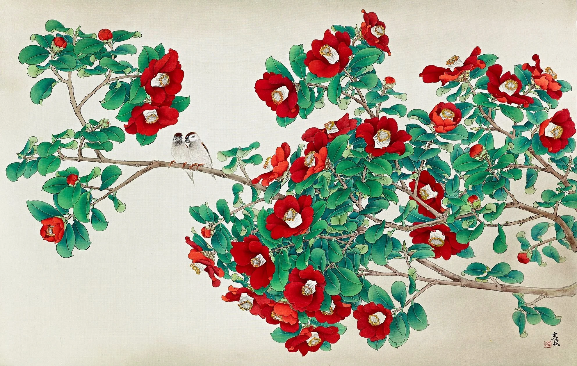 山茶花