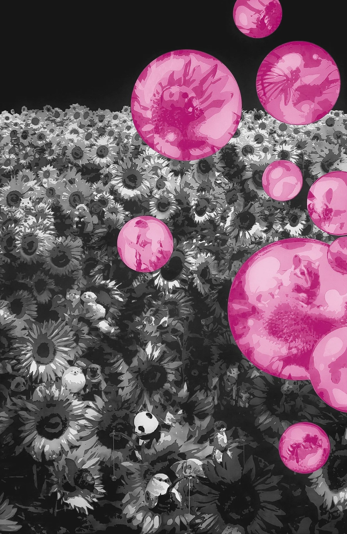 陌生的花花世界