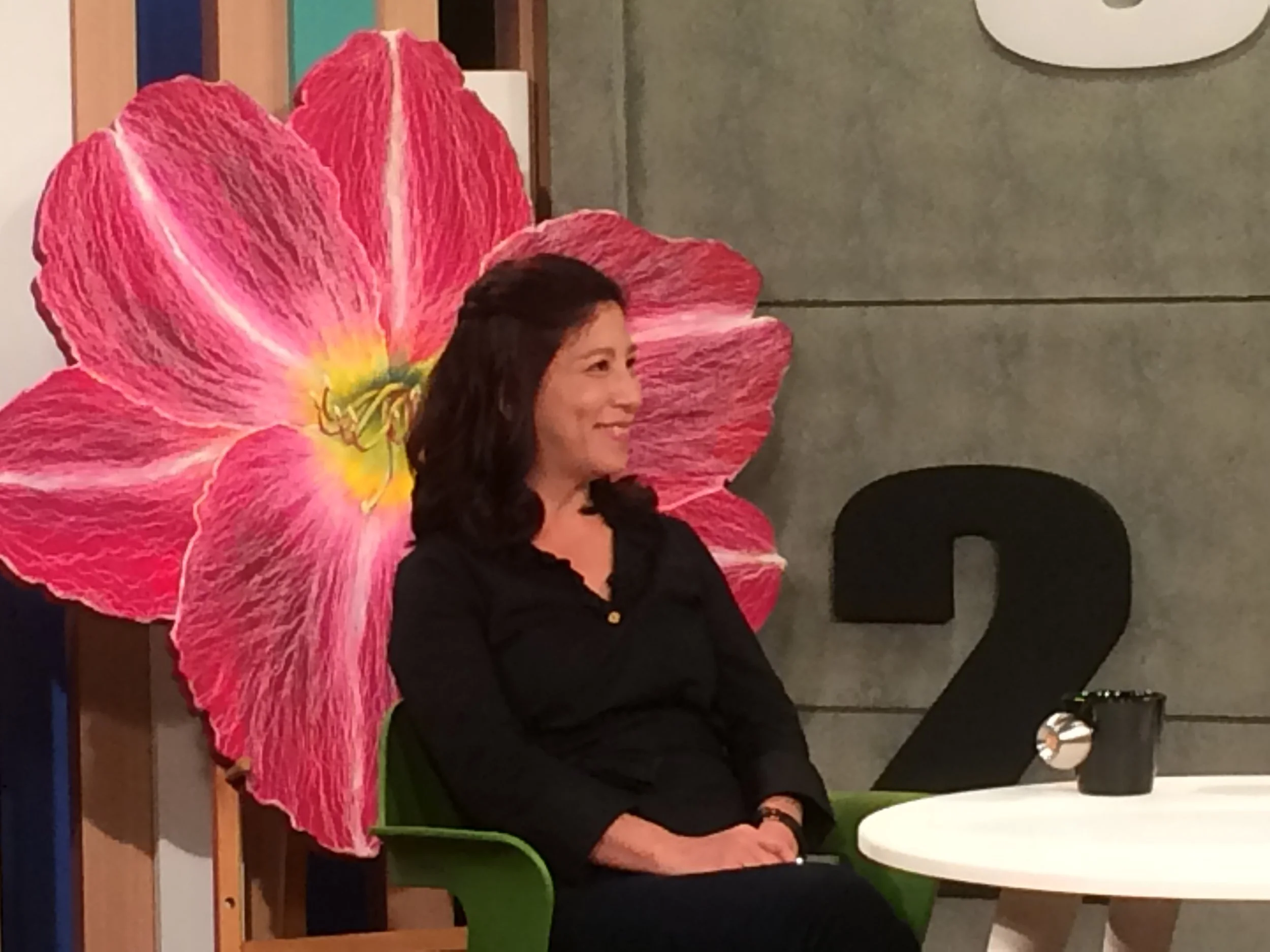 鄭麗雲受邀《創藝多腦河》採訪花絮