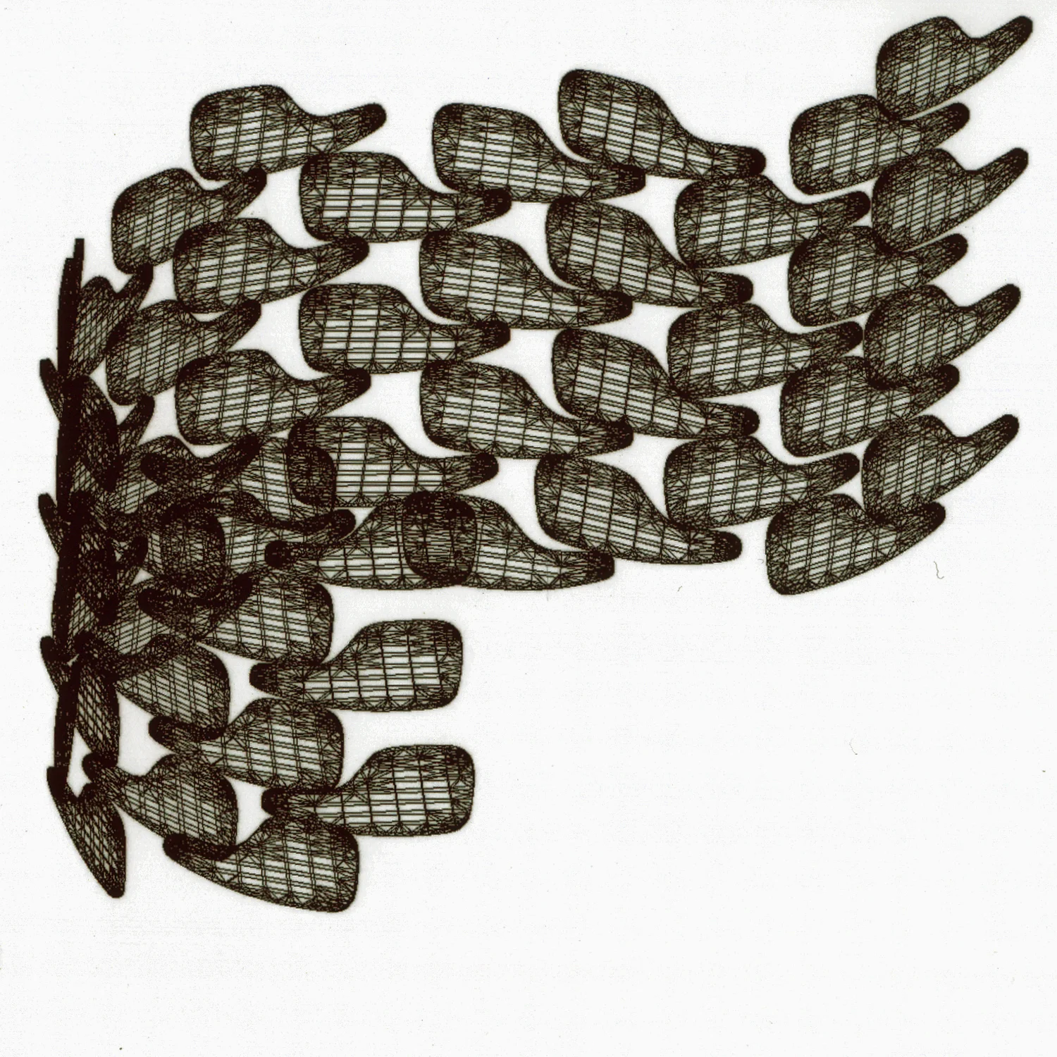 seeds thumbpic 2.jpg
