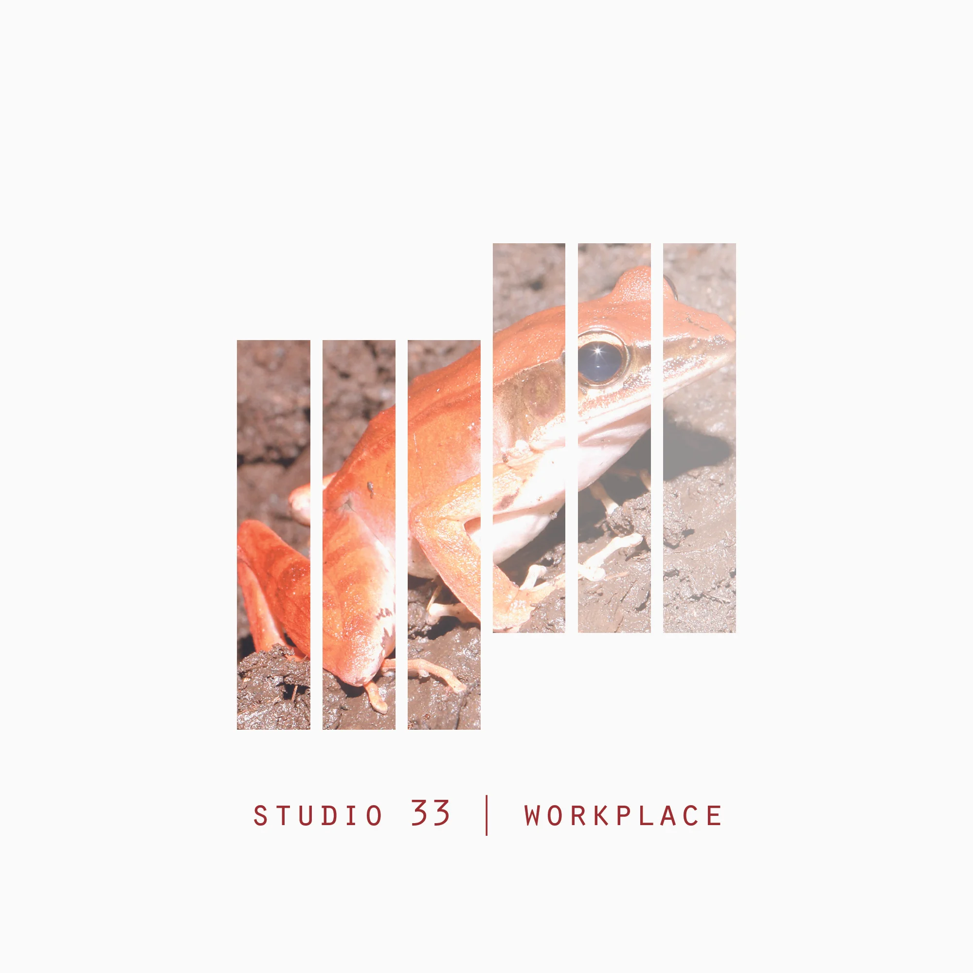 III_III_6-frog copy.jpg