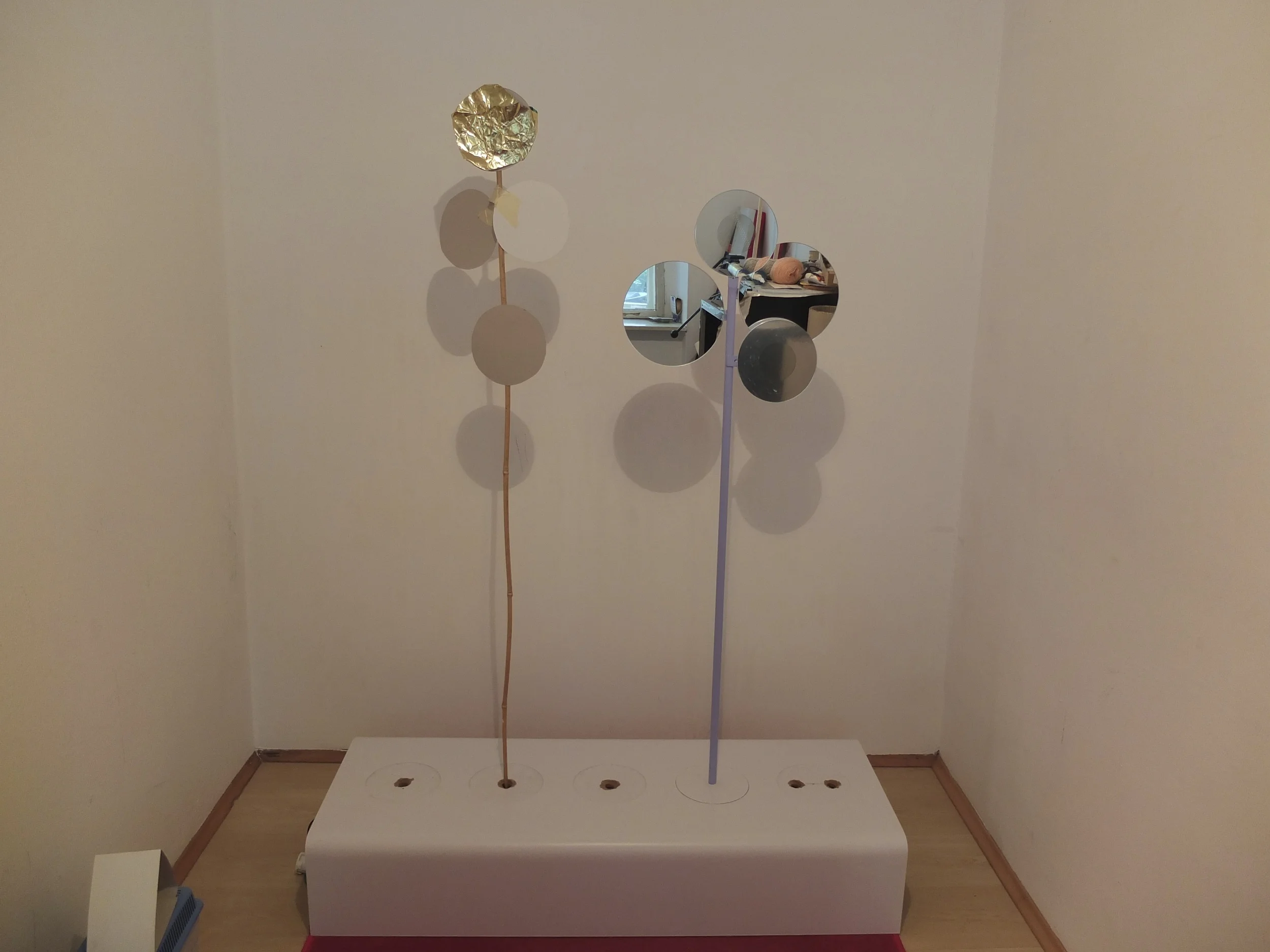 DSCF6337.jpg