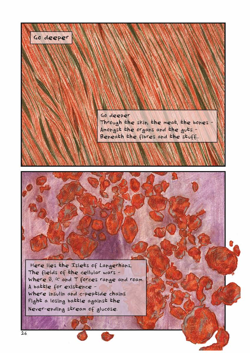 fig.2: Diabetes: Year One , page 26