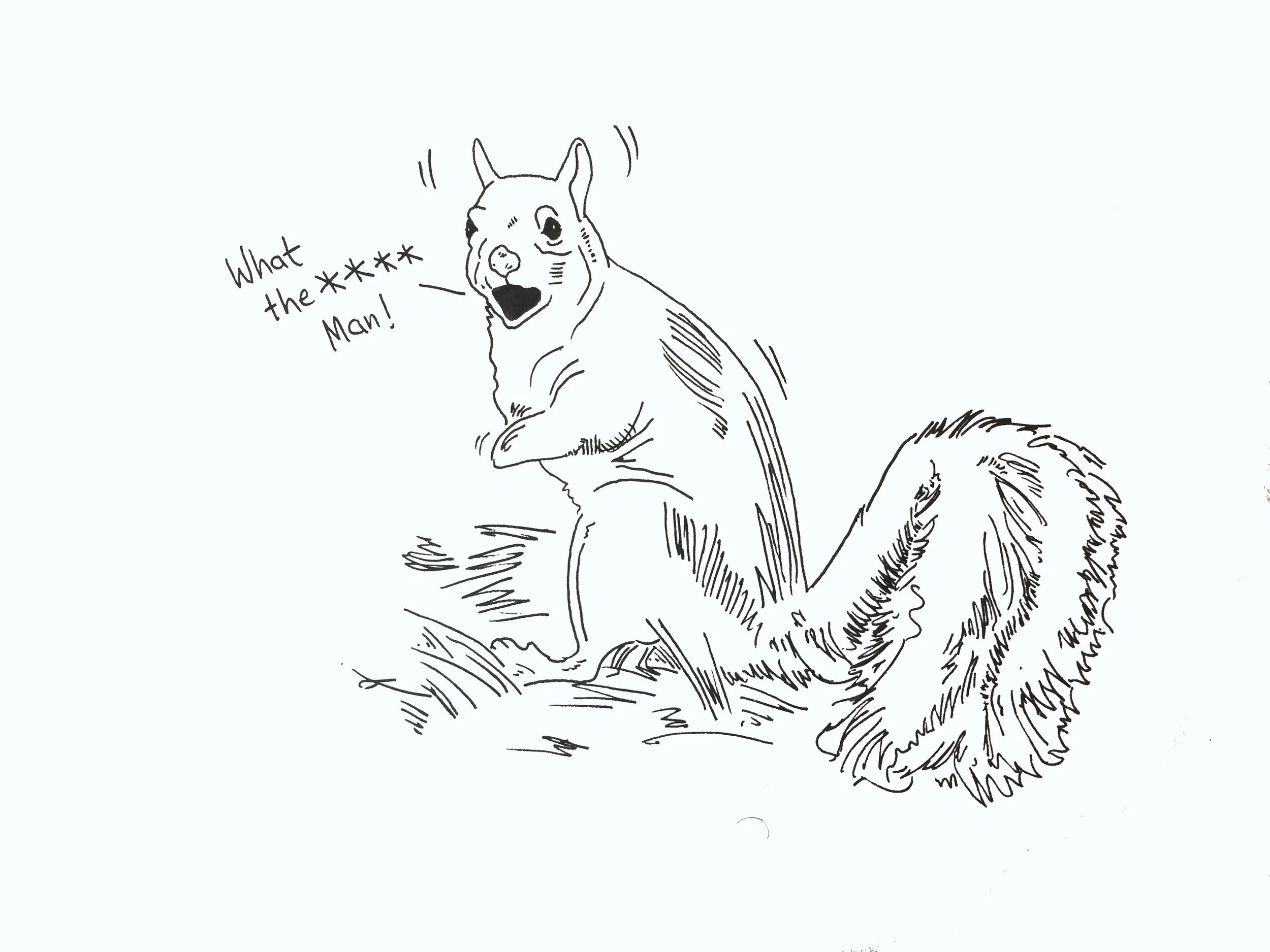 fig.1: Surprised squirrel (at the sight of me running)