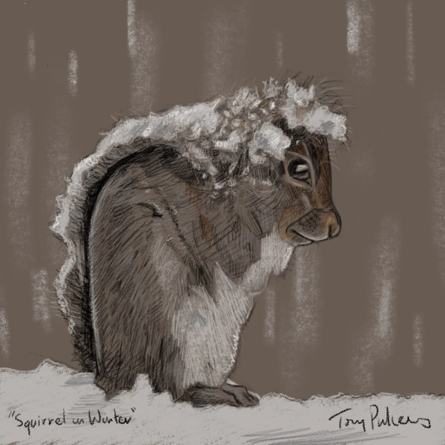 squirrel.jpg