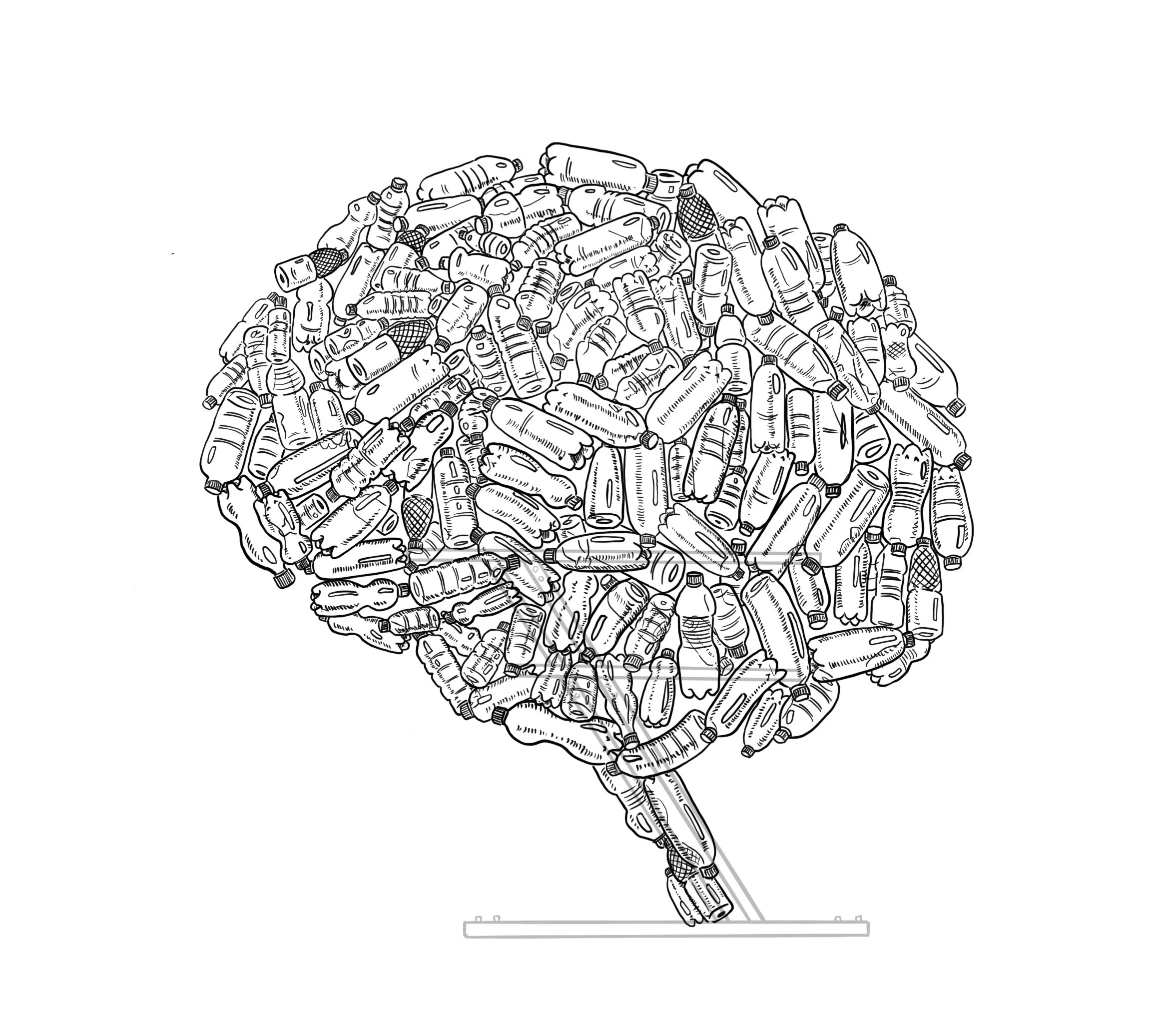 brain plasticity shell on frame.jpg