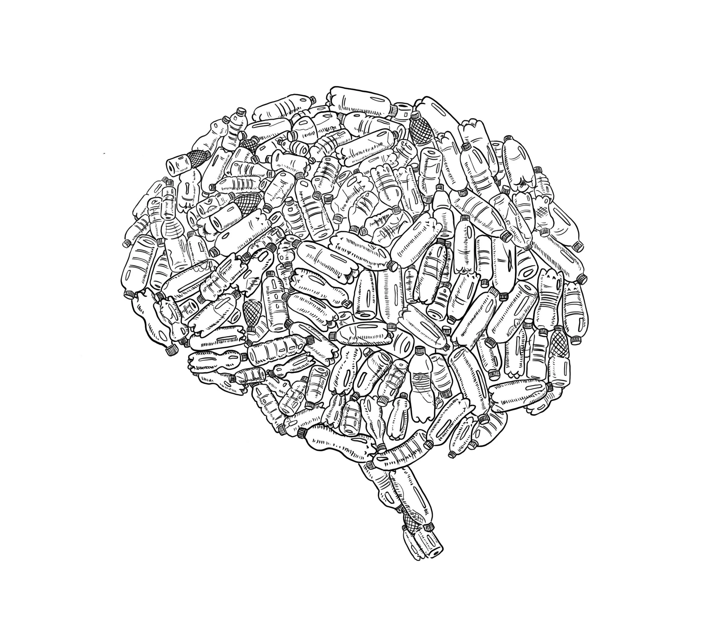 brain plasticity shell.jpg