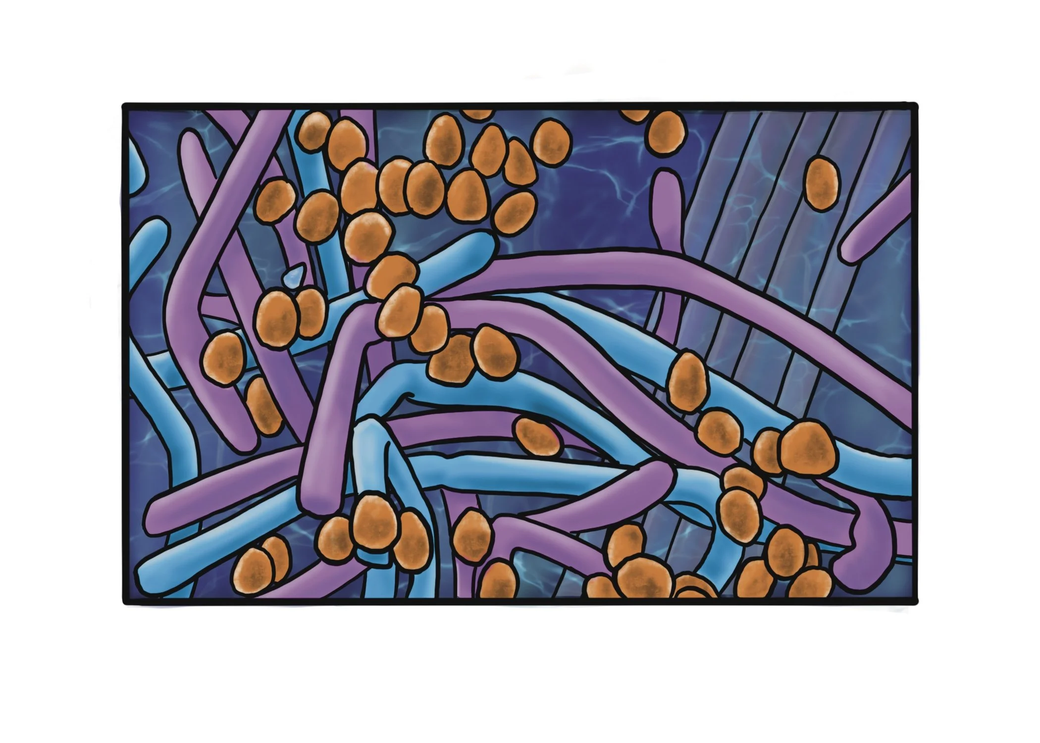 toothtastic bacteria 2.jpg