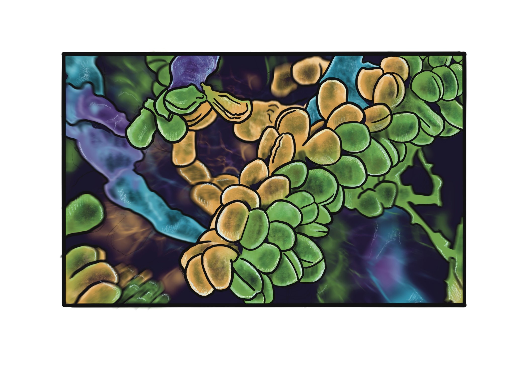 toothtastic bacteria 4.jpg