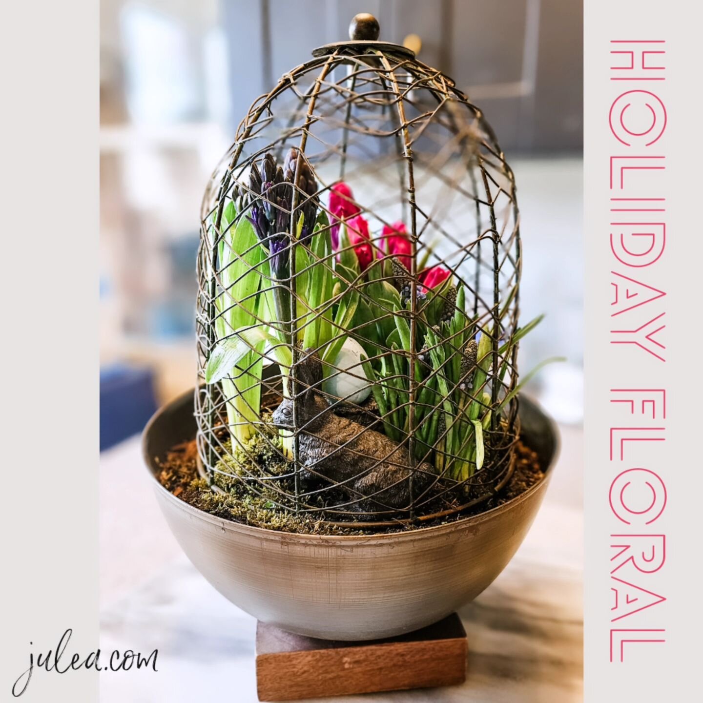 Grab a few #Aldi potted spring blooms,  pop into a decorative bowl, add soil, garden moss, pop on a wired dome - voil&agrave;, your Easter centerpiece! #aldifinds #spring #springflowers #centerpieces #flowersofinstagram #diyhomedecor #easter #easterd