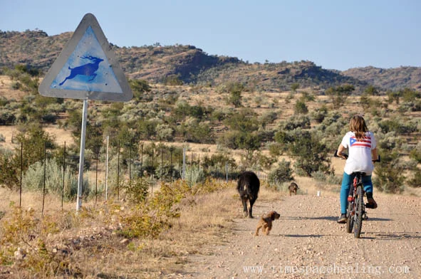 walk2.jpg