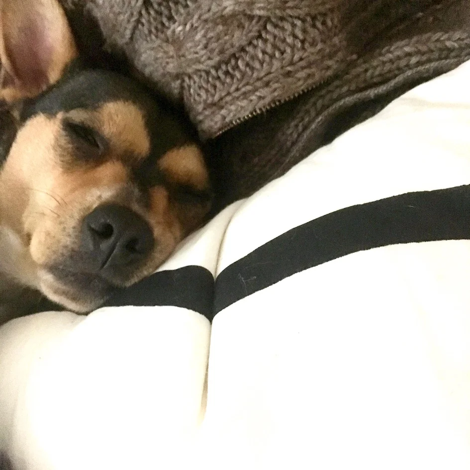 Nighty night