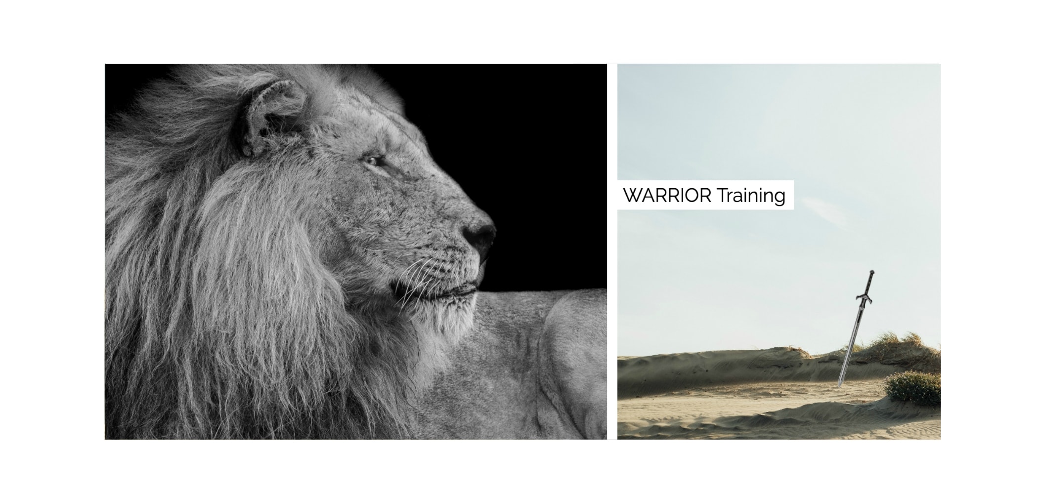 warriorwhite-min.jpg