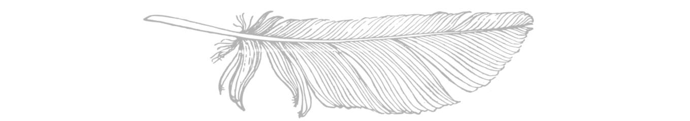 feather long-min.png