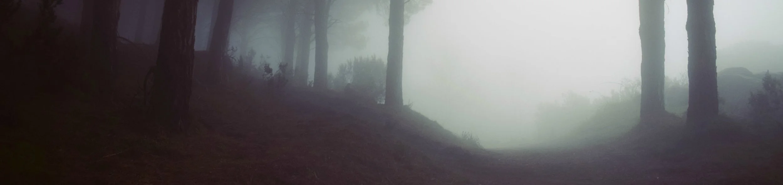 foggy long-min.jpg