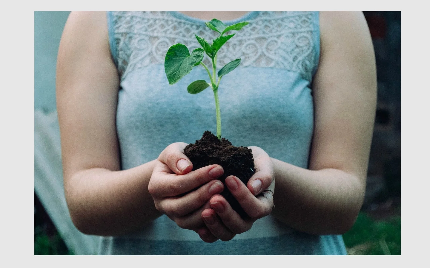 seedling-min.jpg