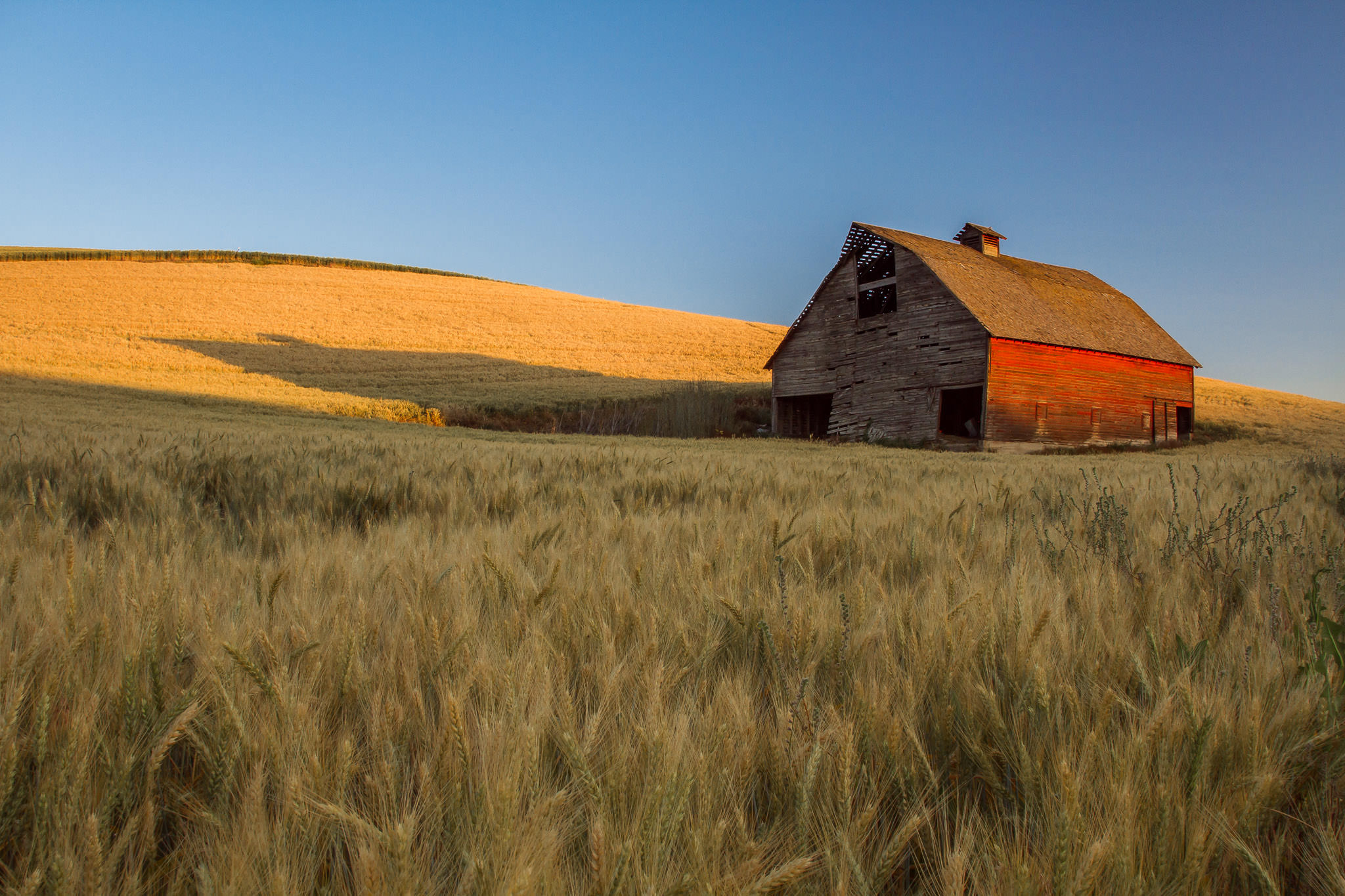 Old Barn at Sunrise