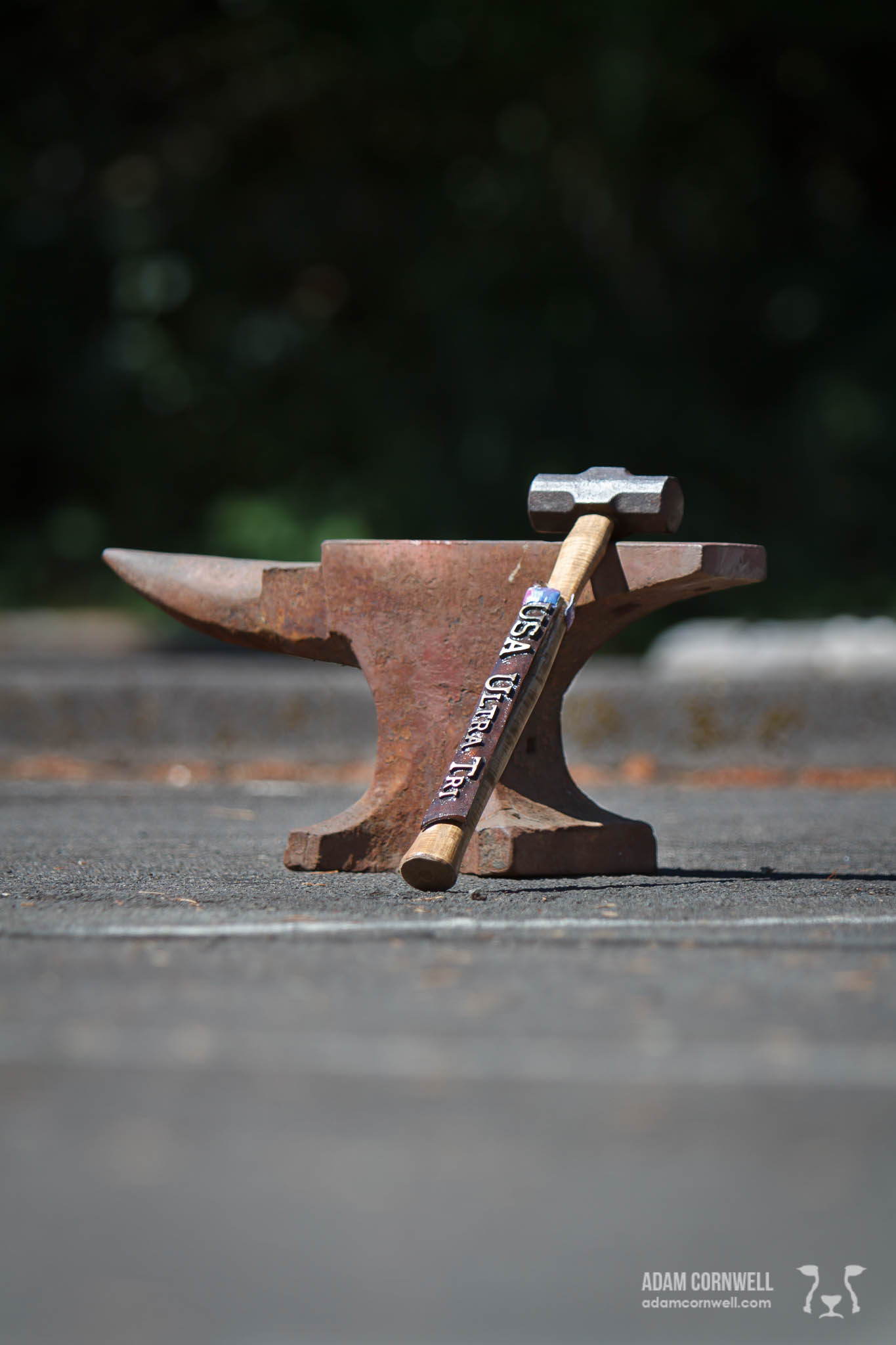 2014 Double Anvil