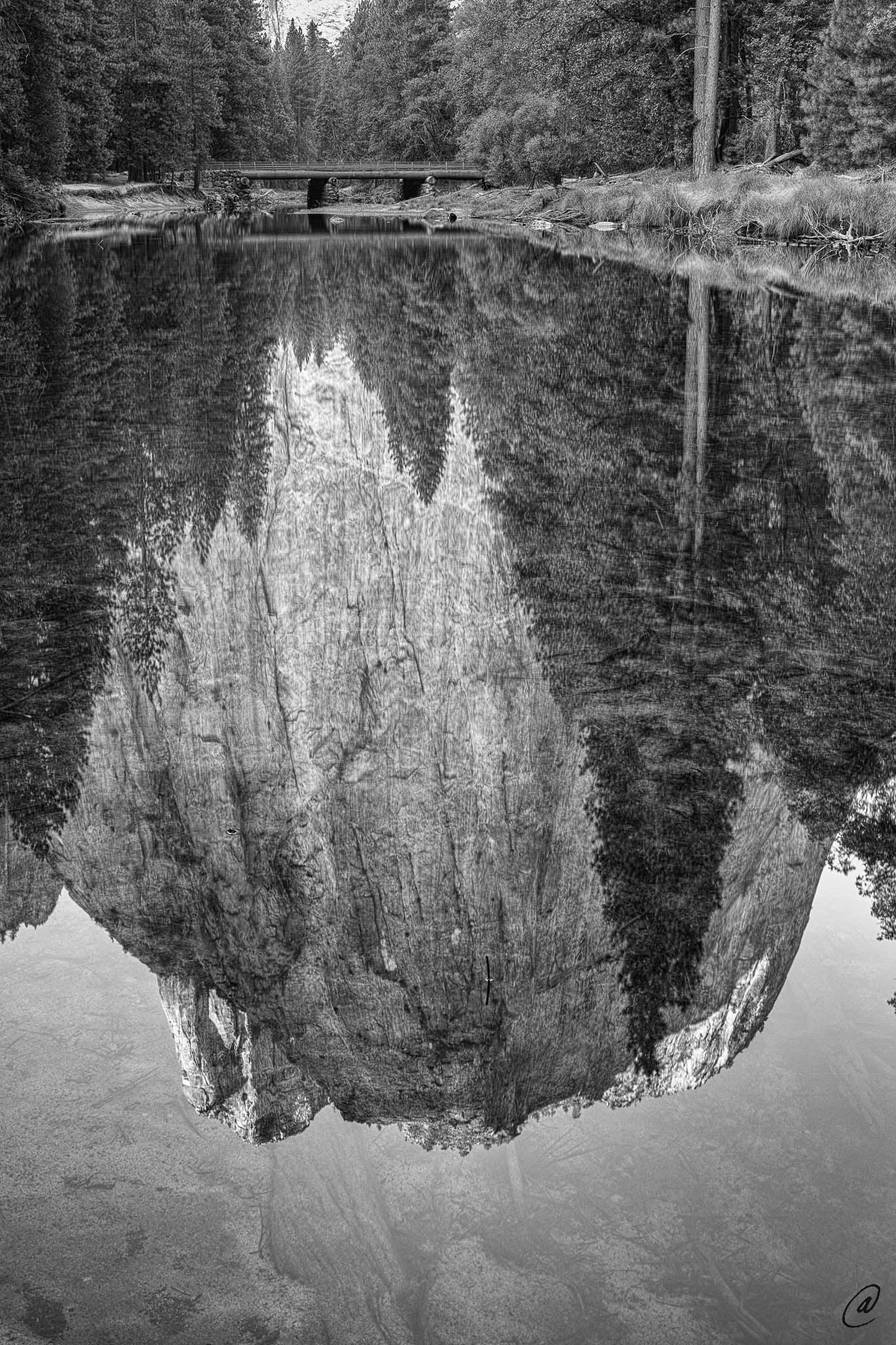 Cathedral Reflection