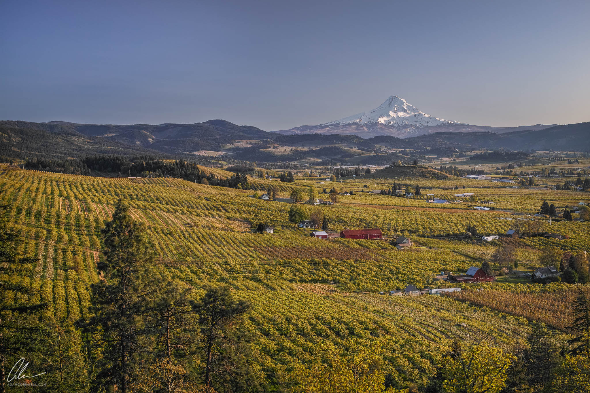 Mt. Hood & Orchards