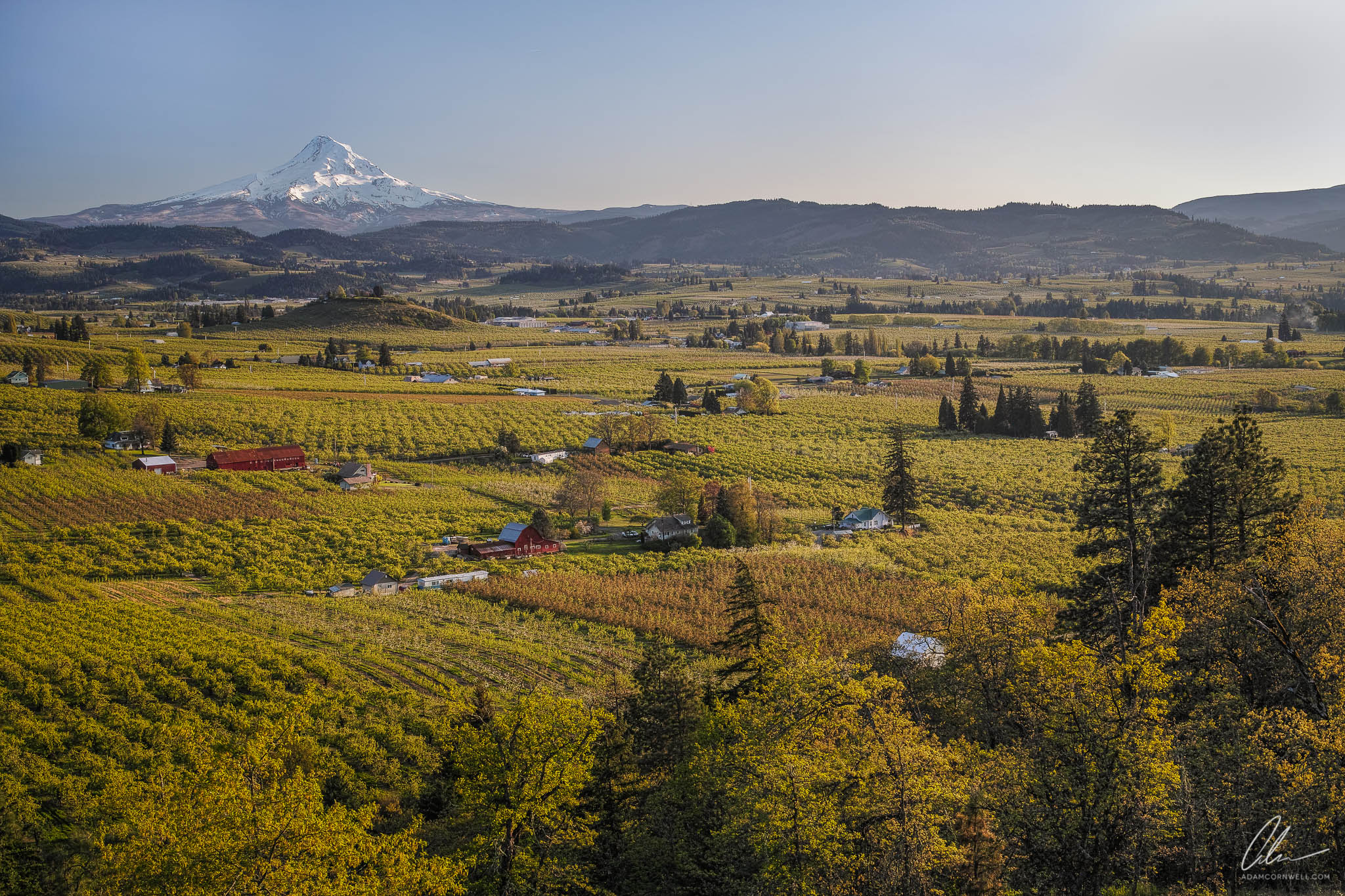 Mt. Hood & Orchards
