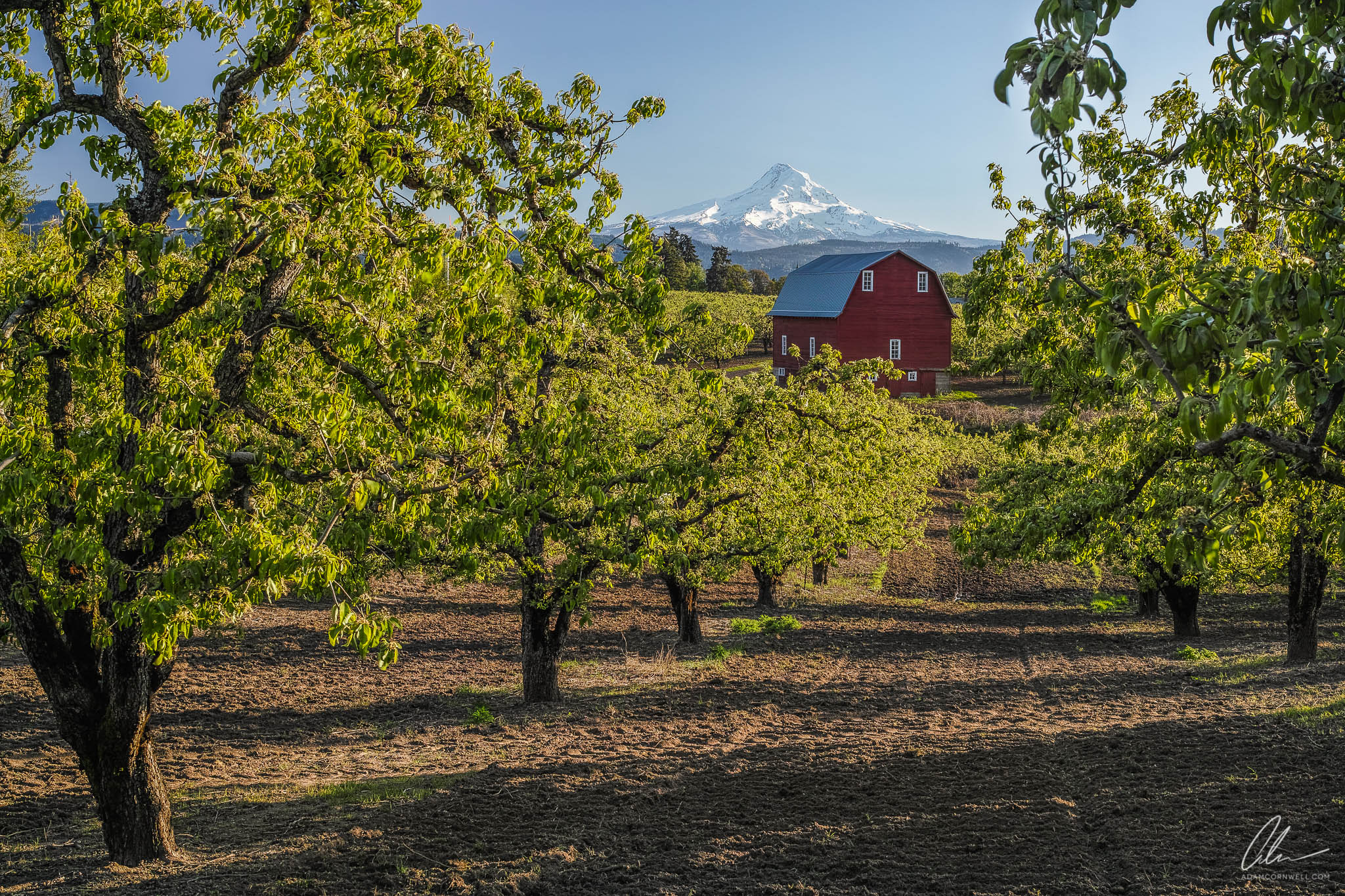 The Red Barn