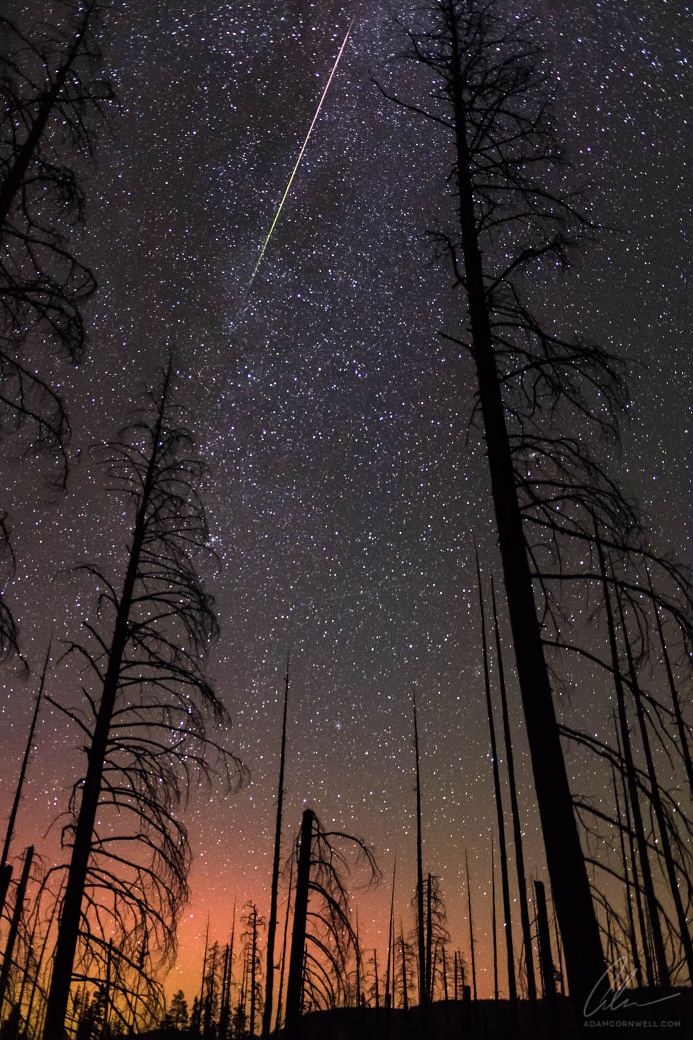 Milky Way & Dead Forrest