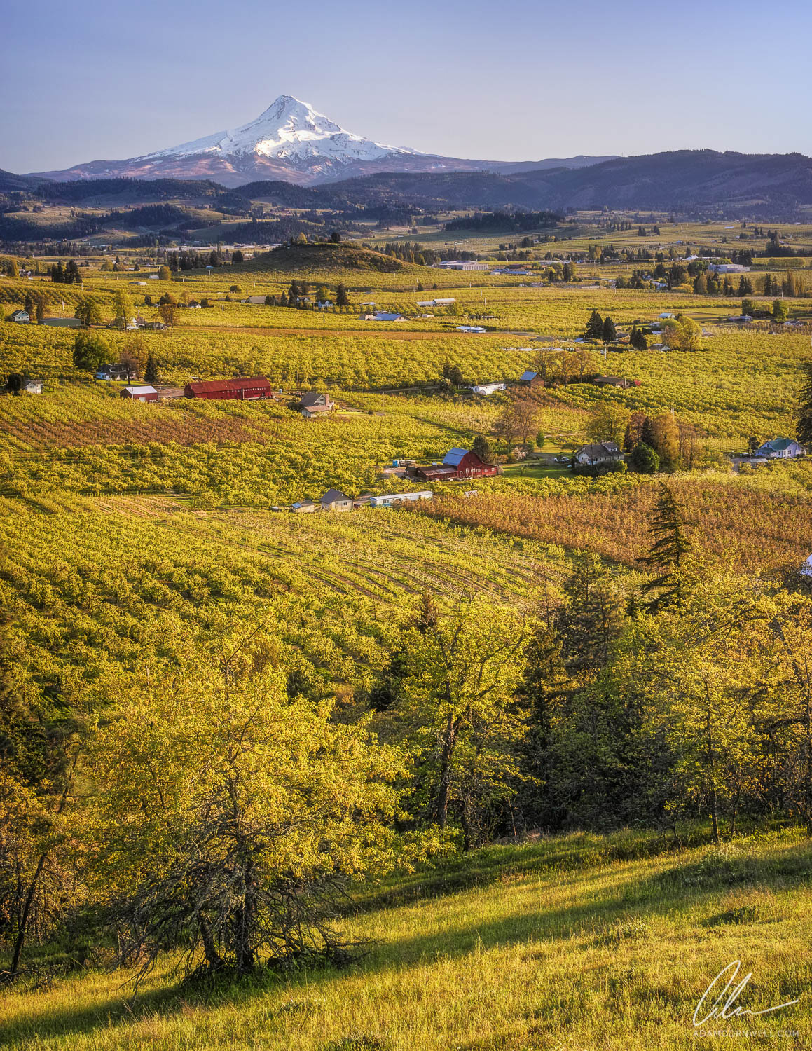 Mt. Hood & Orchards