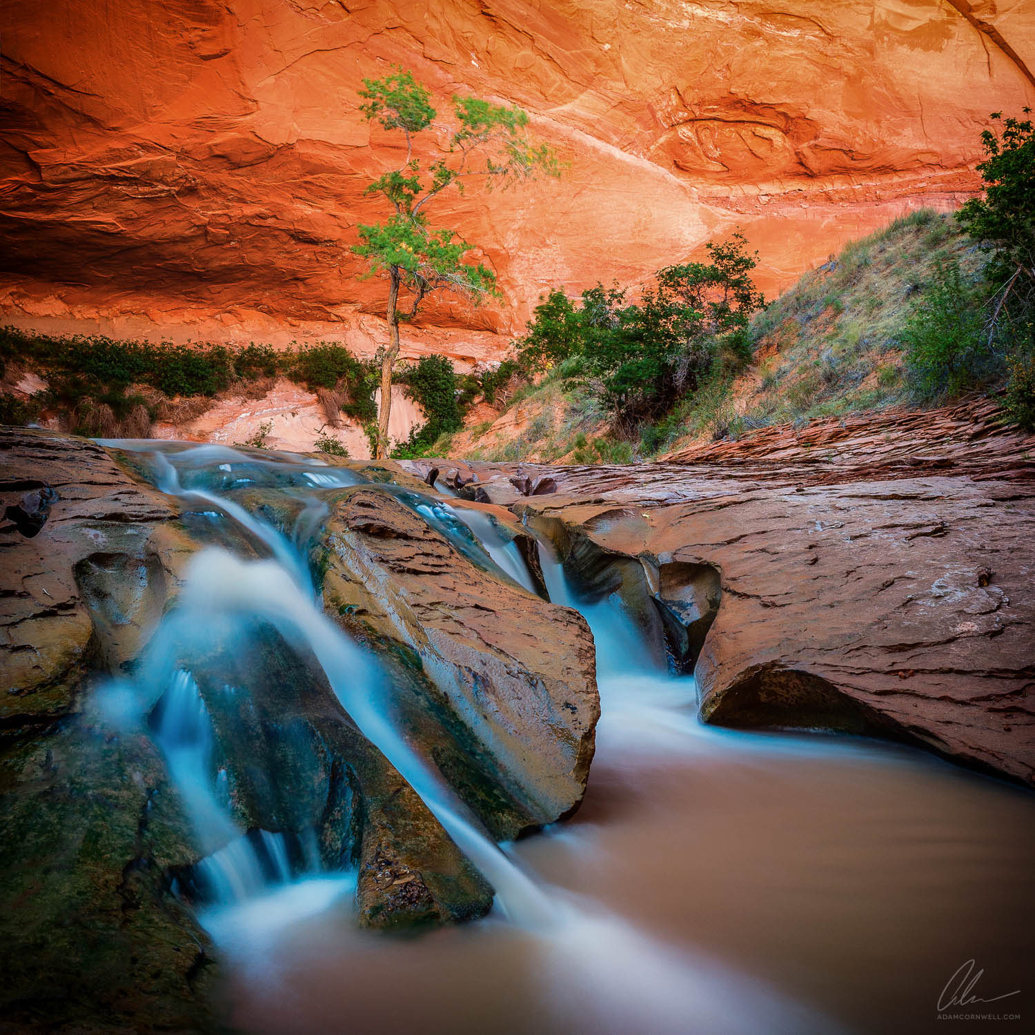 Coyote Gulch