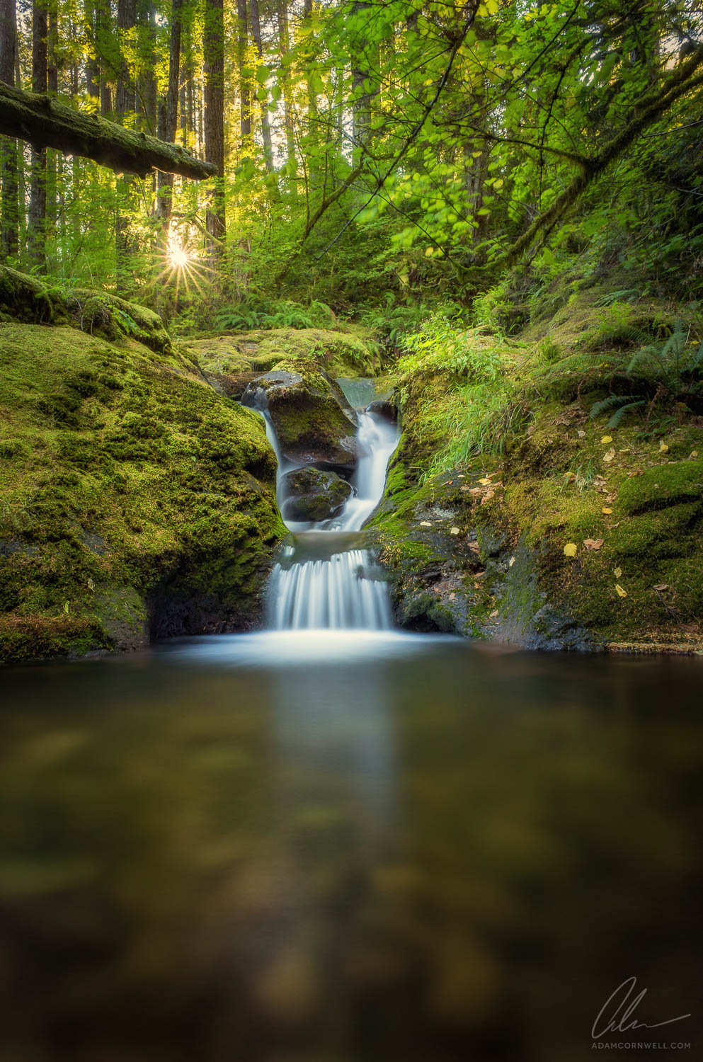 Duncan Creek Falls