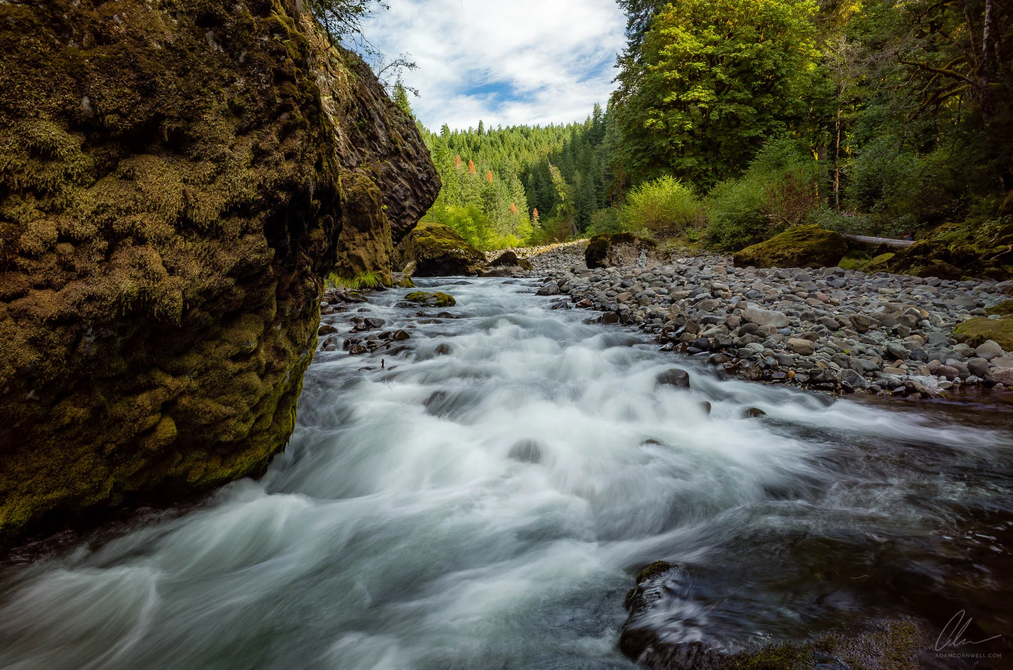 Lewis River