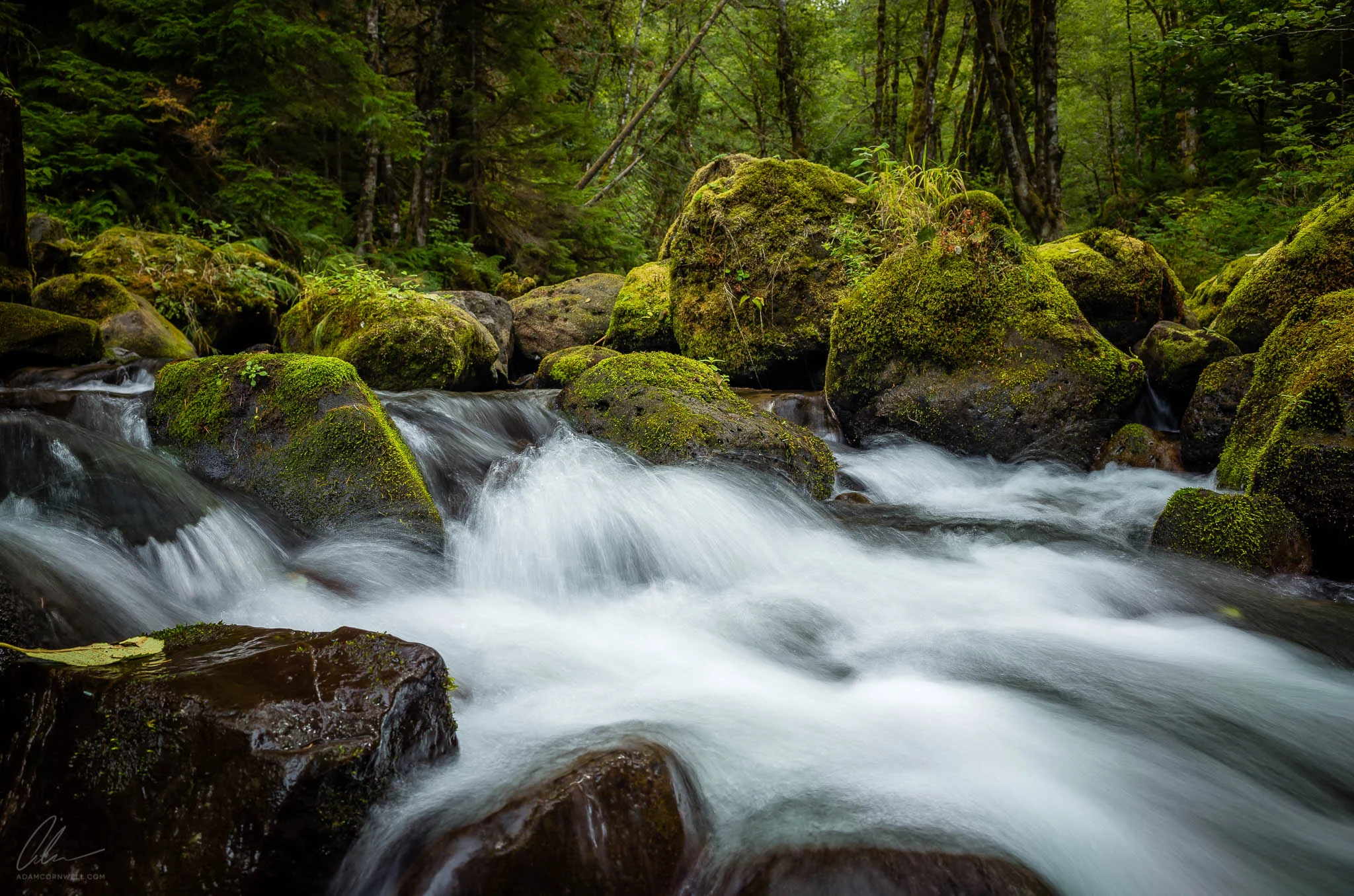 Big Creek