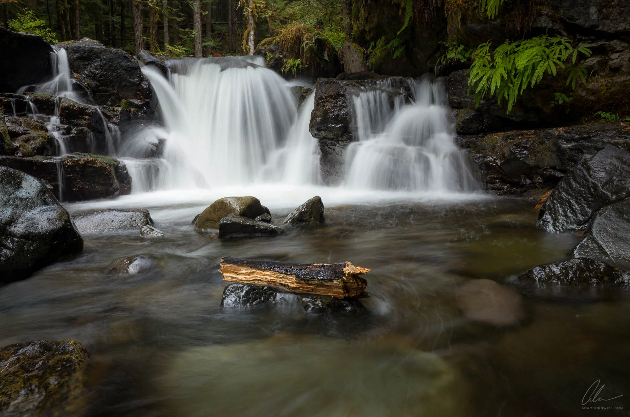 Siouxon Creek
