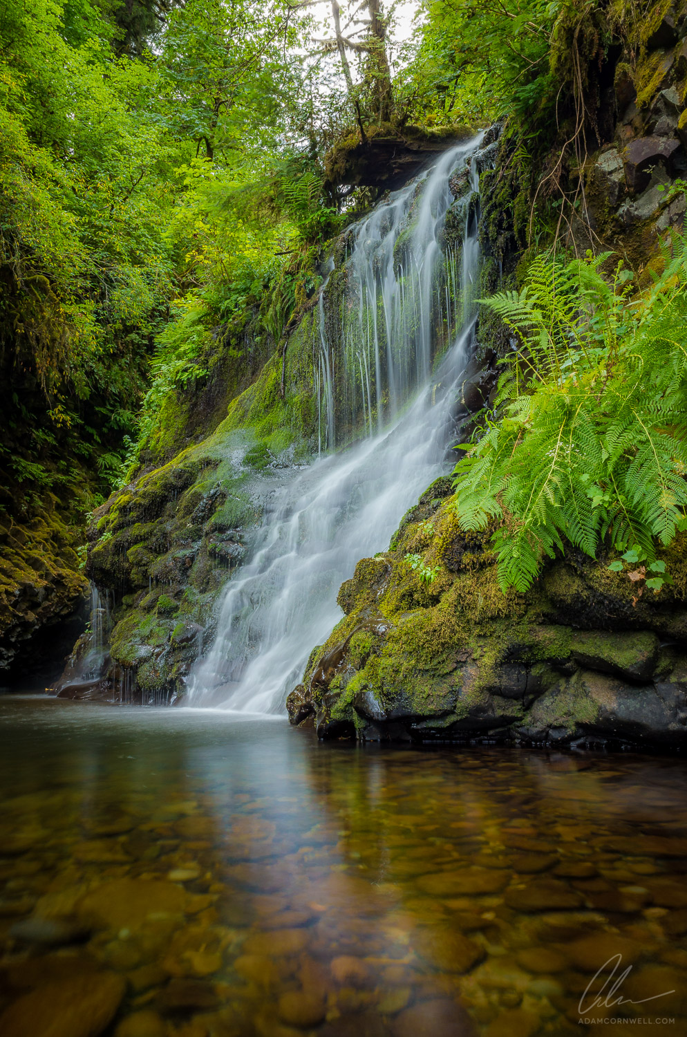 Abiqua Creek