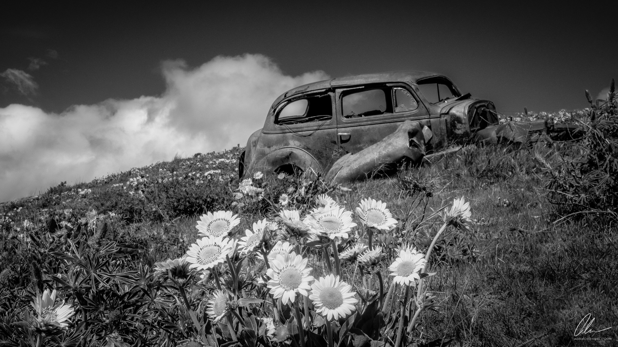 Abandoned Vehicle