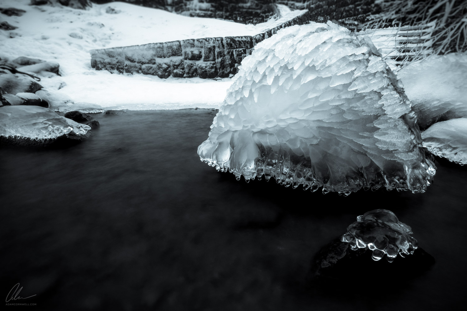 Frozen Hedghog