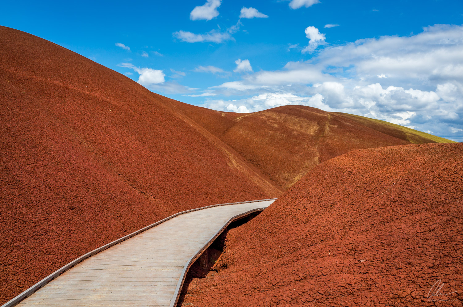 Painted Cove Trail