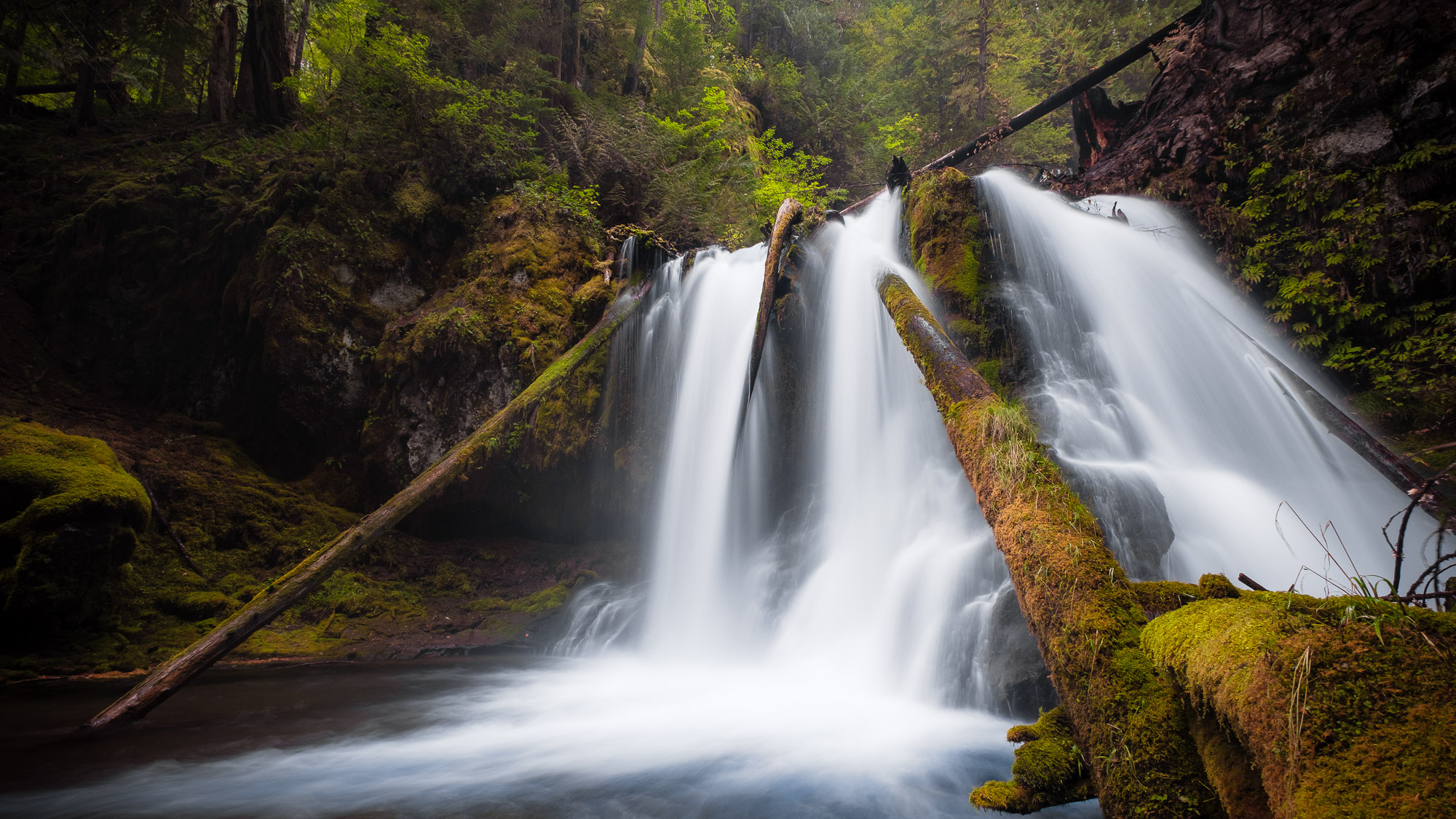 Lower Panther Creek Falls