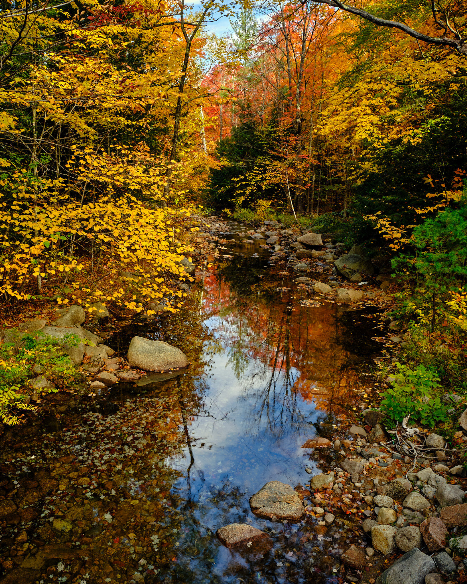 New England Stream