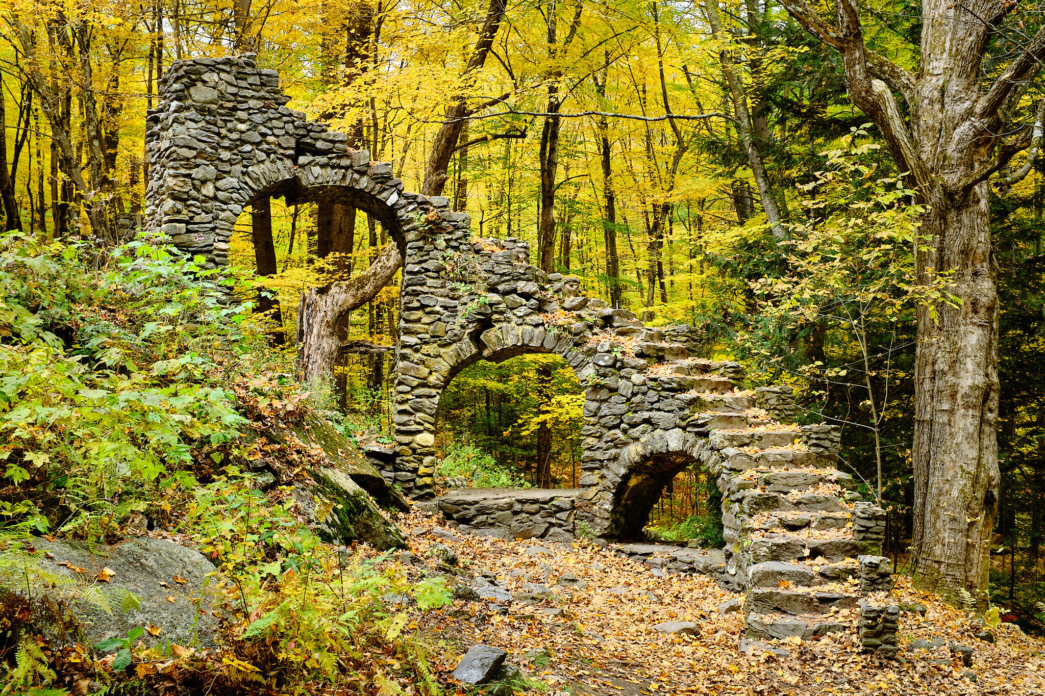 Castle in the Woods