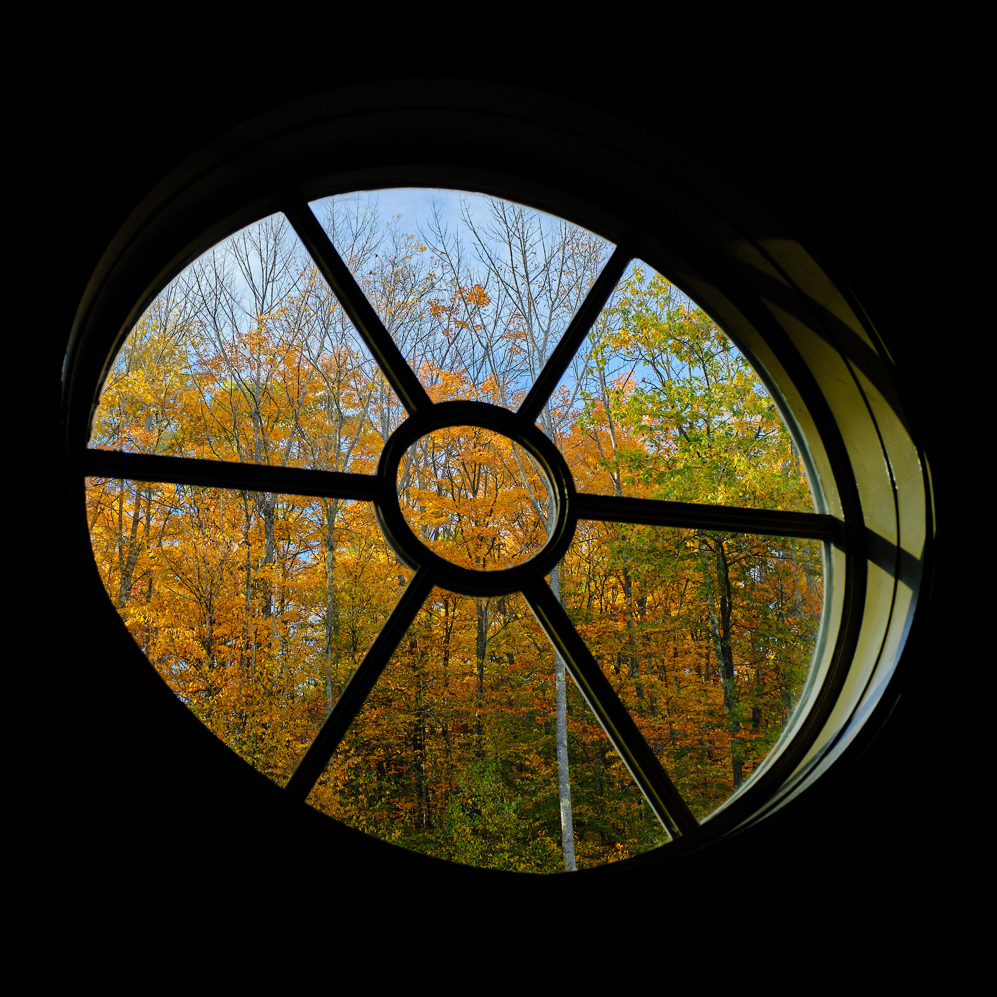 Window to Autumn