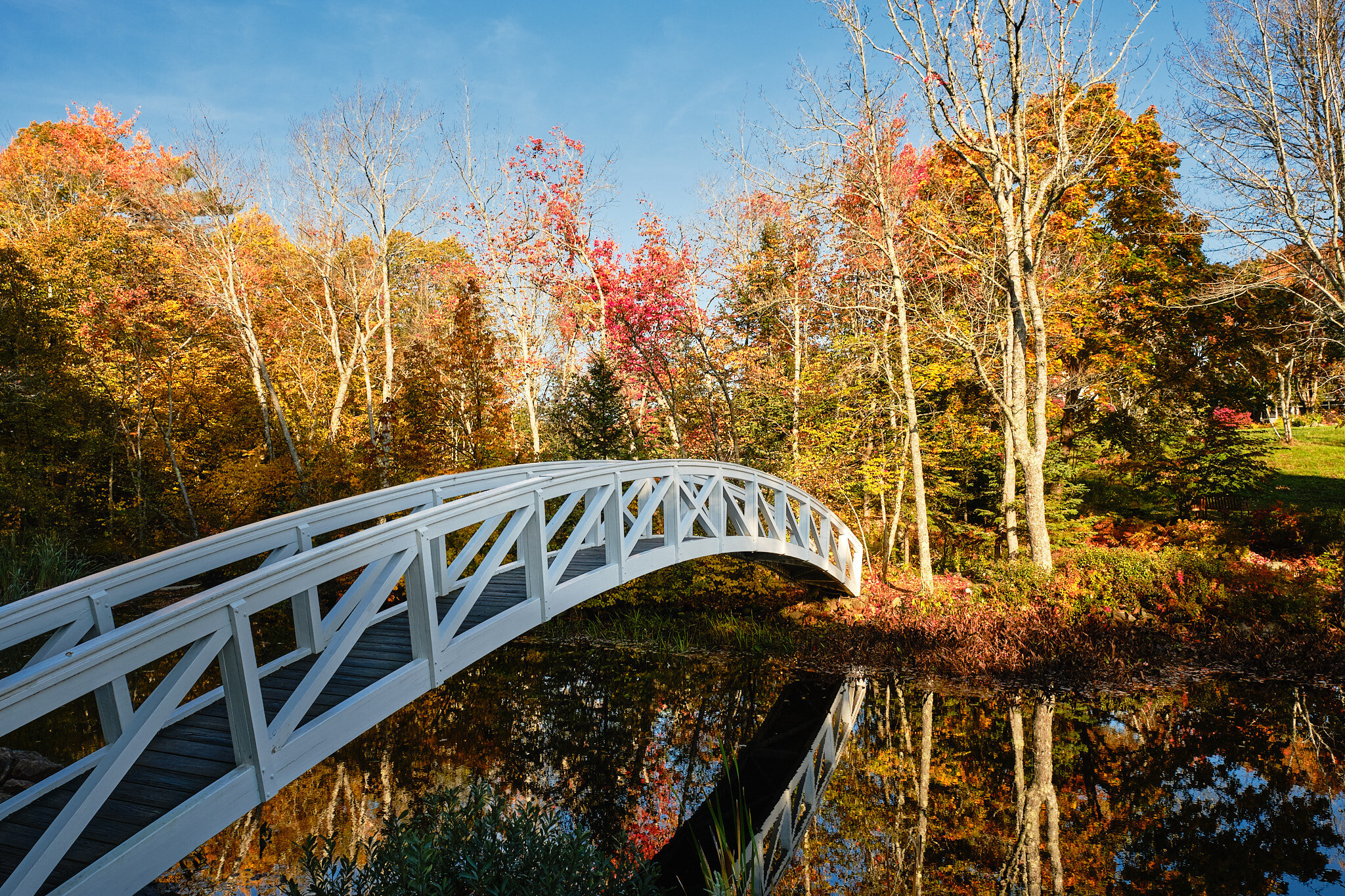 White Foot Bridge