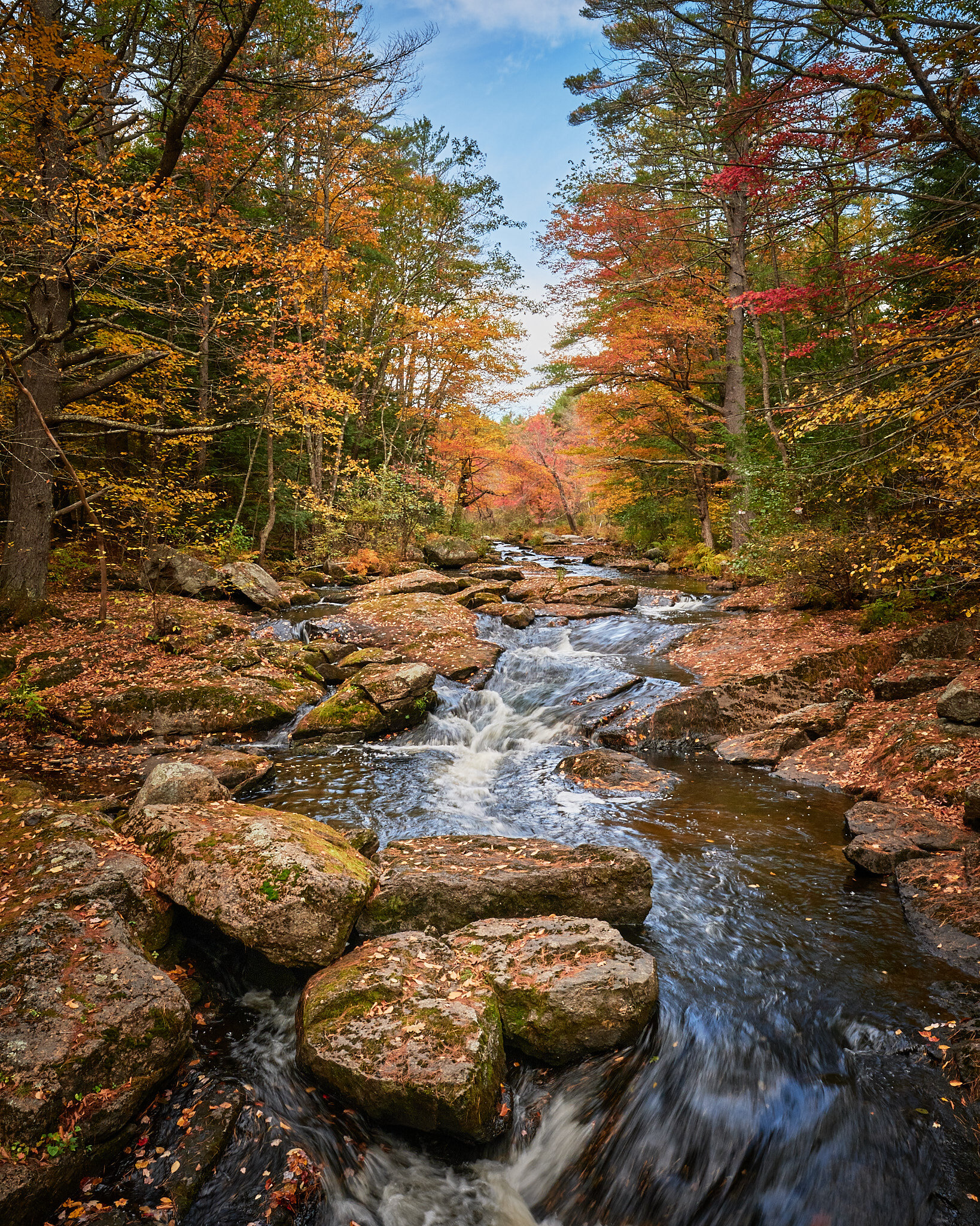 New England Stream