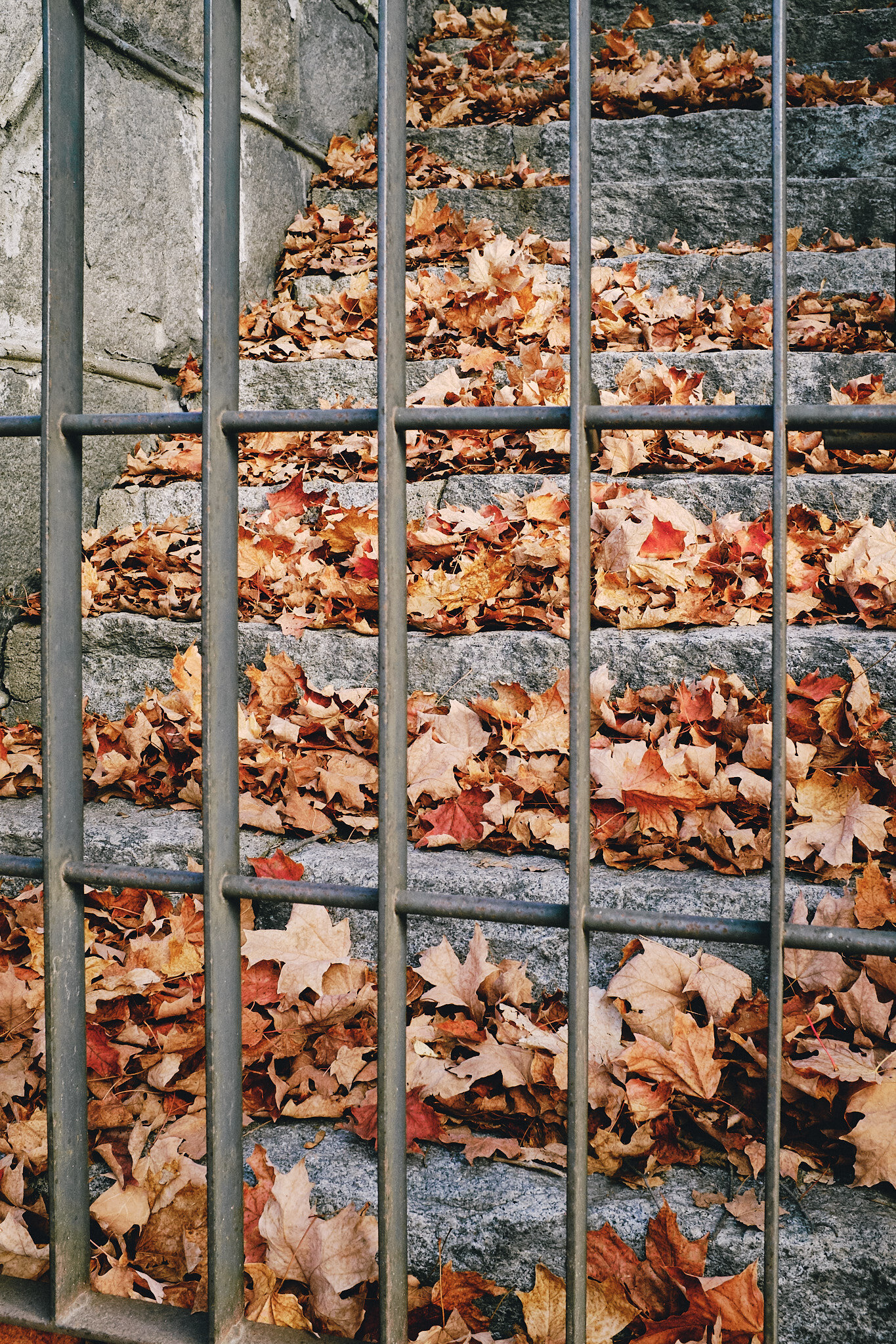 Fall Stairs