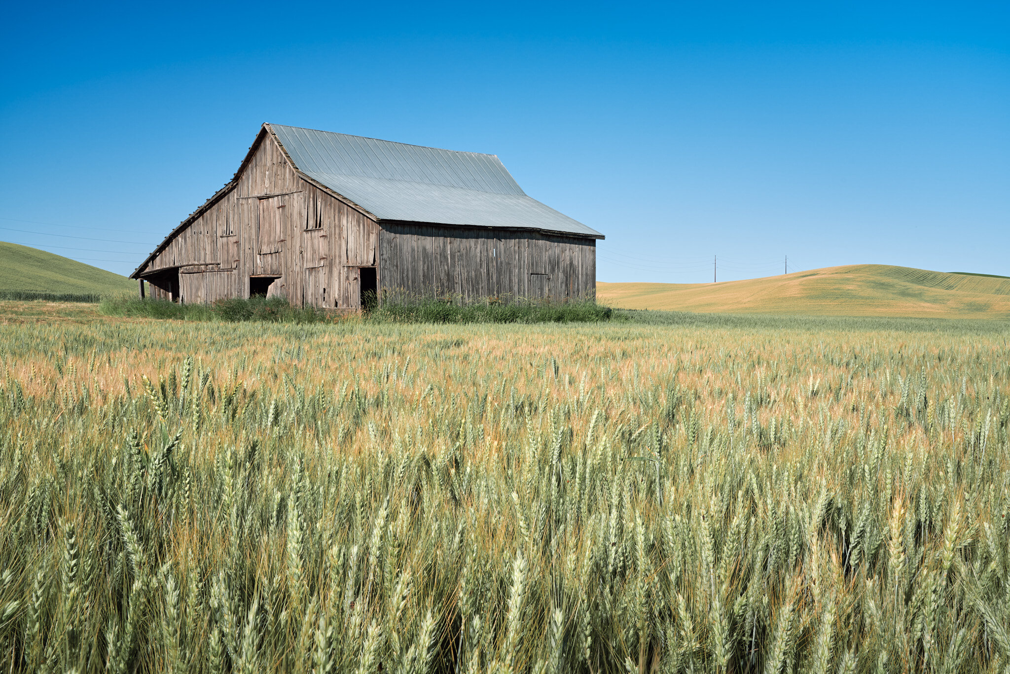 Old Barn