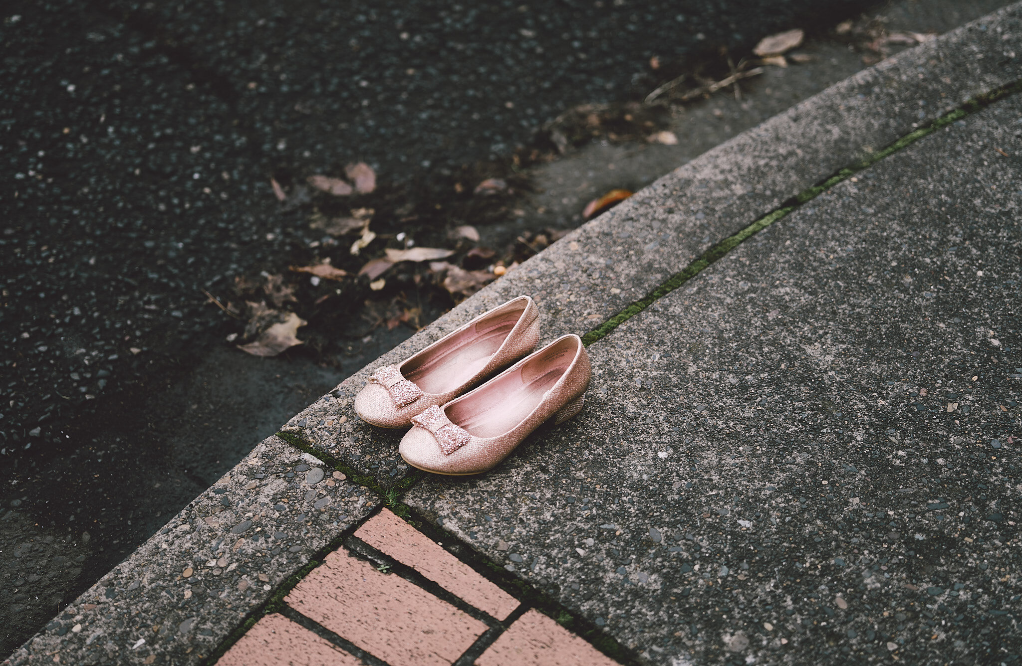 Cinderella's Slippers