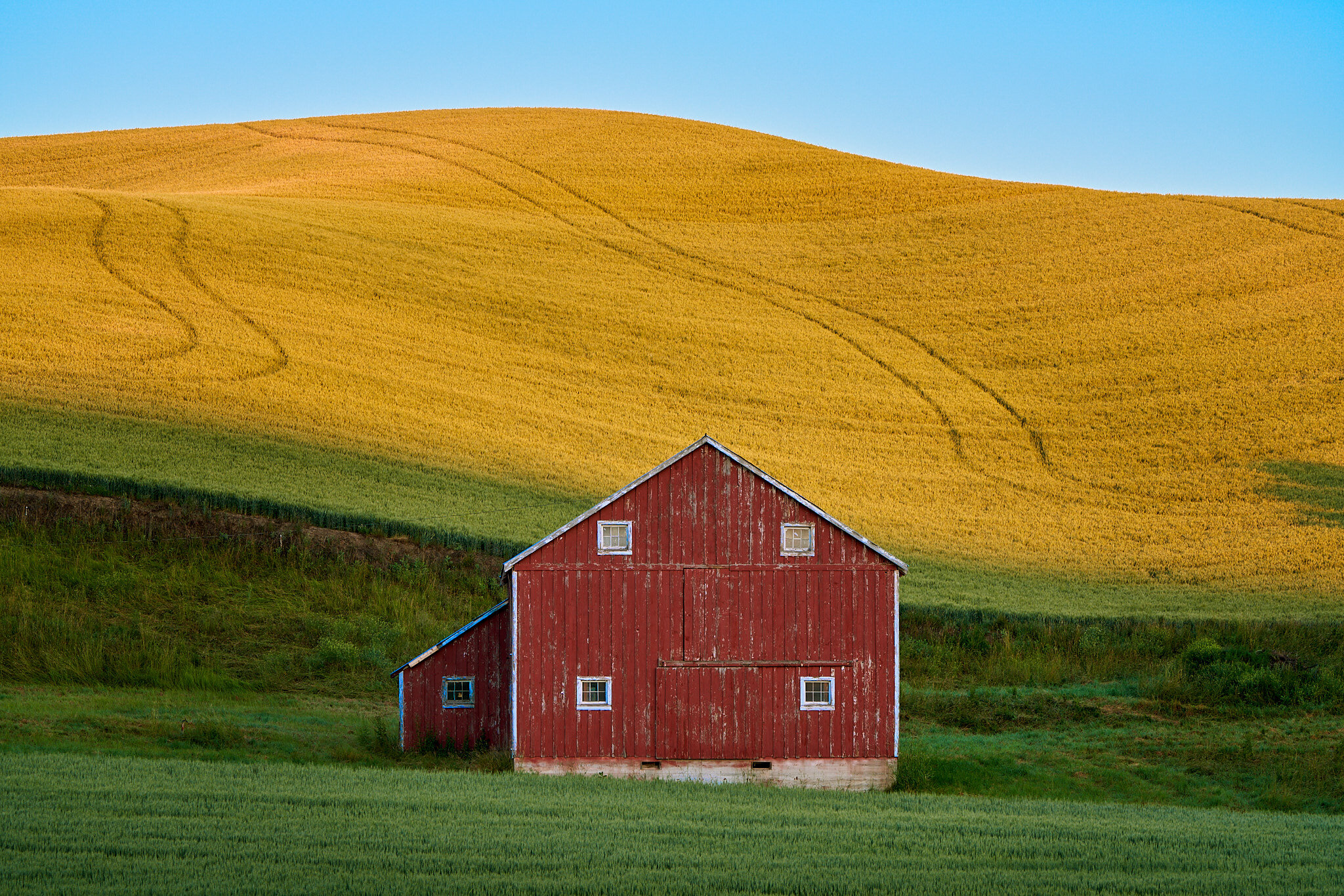 Palouse Barn