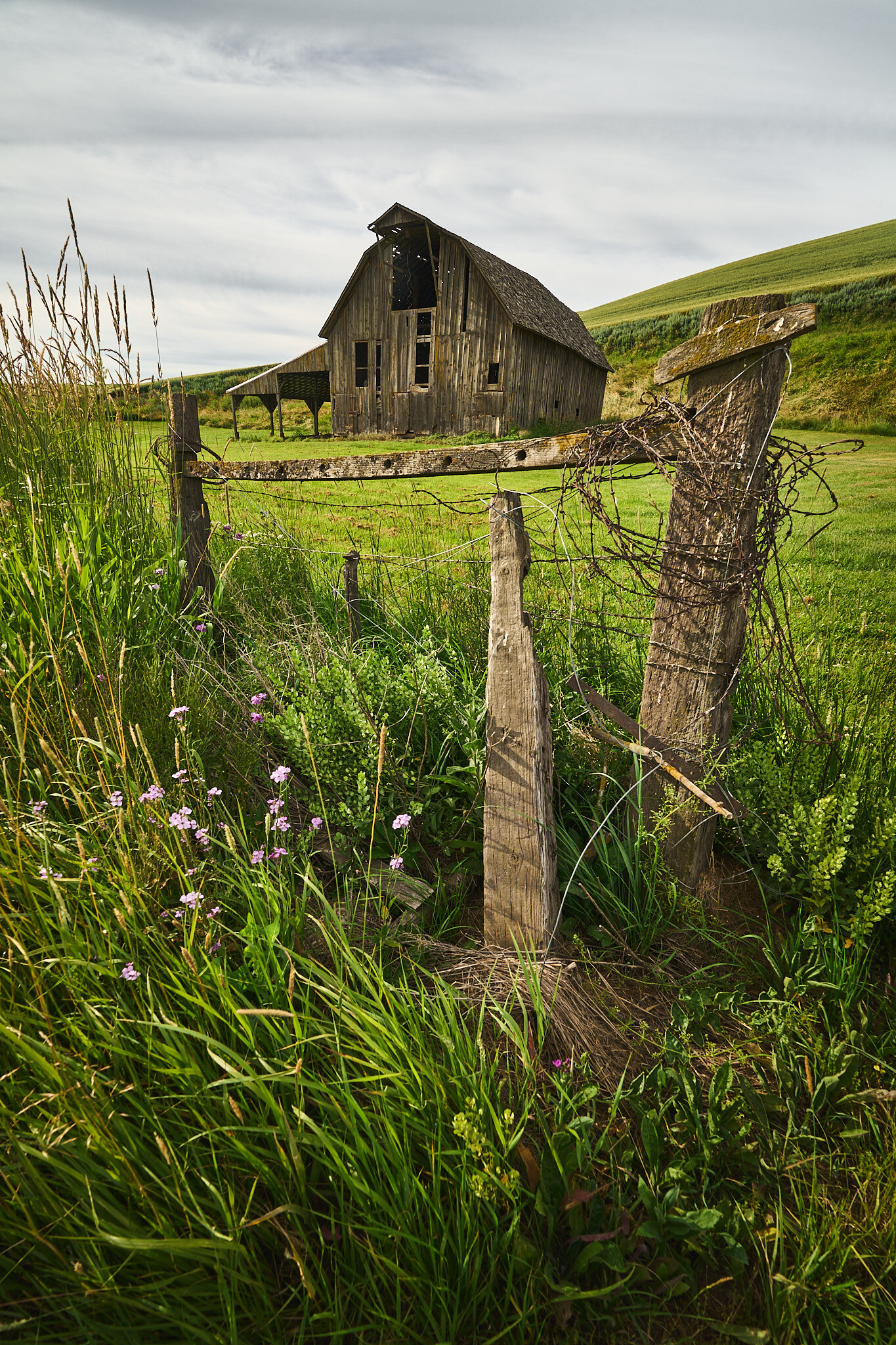 Rickety Barn